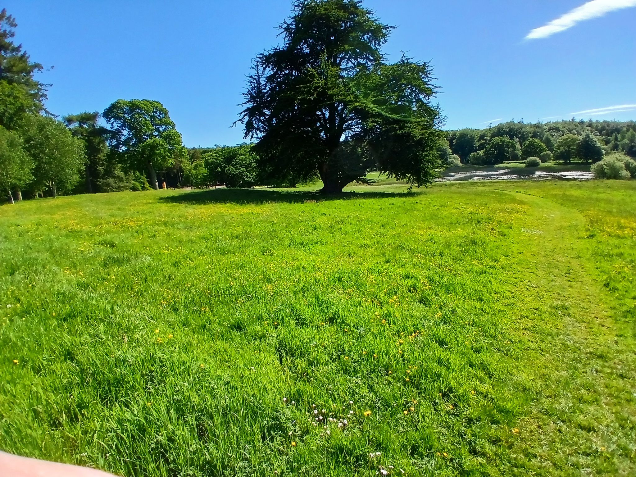 park