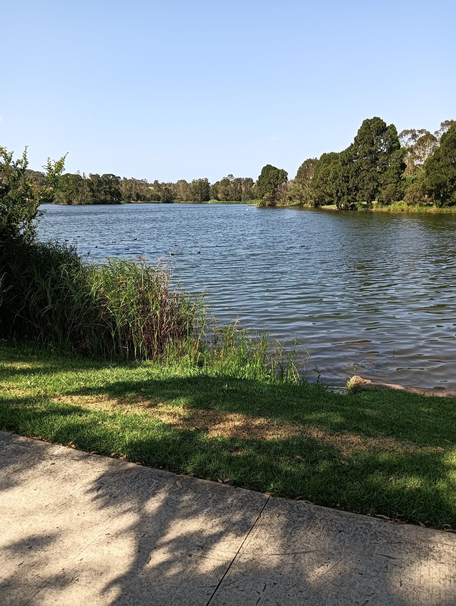 Harrington Park