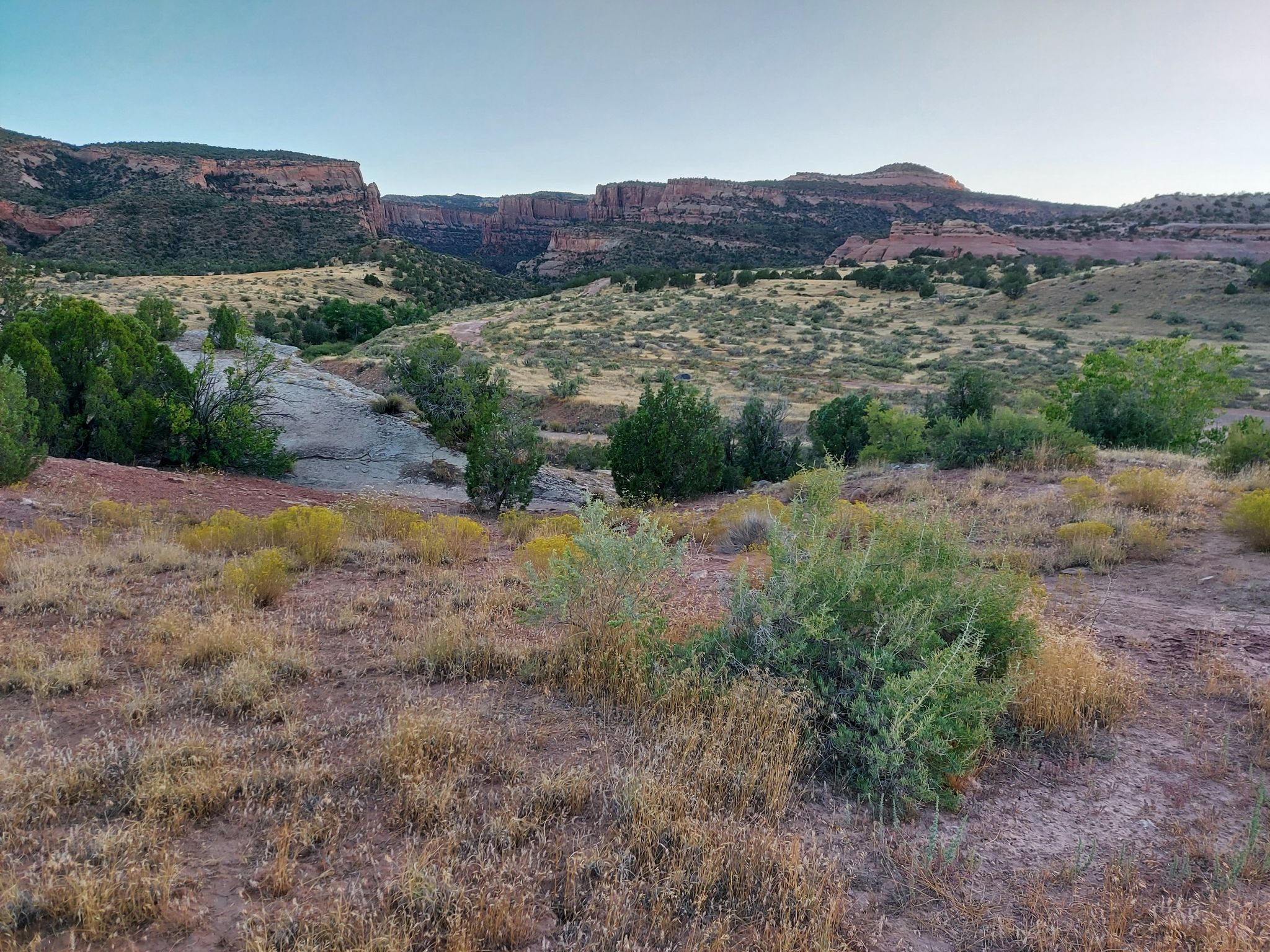 Arid landscape with green trees in a valley and distant red rock cliffs. - Kodel 1 Loop