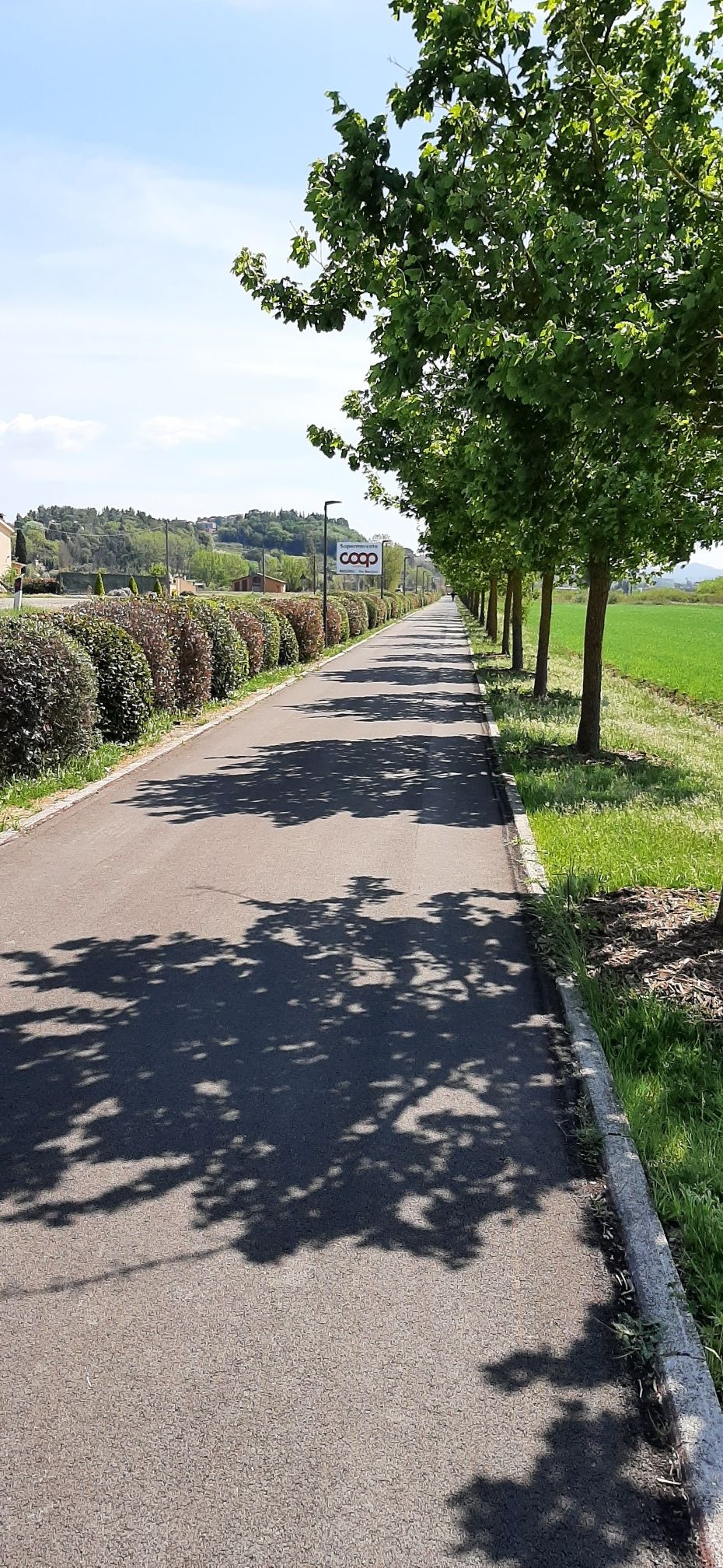 Ciclabile con area Pic-nic