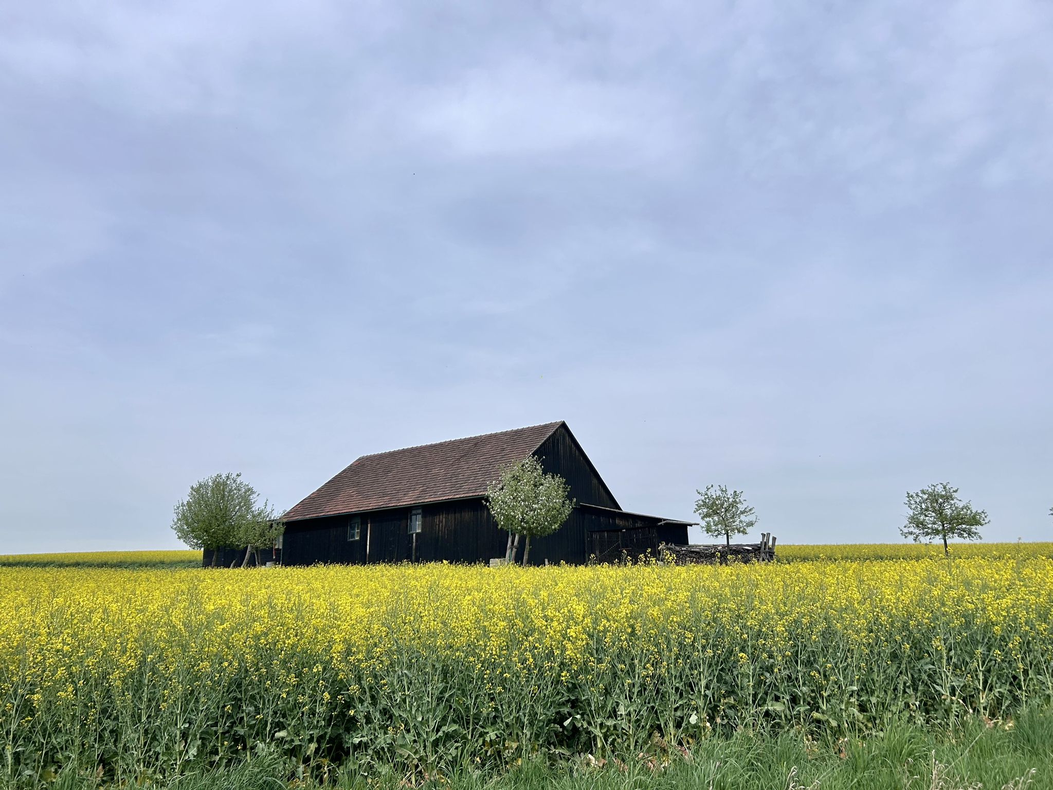 Kurz vor Rohrbach
