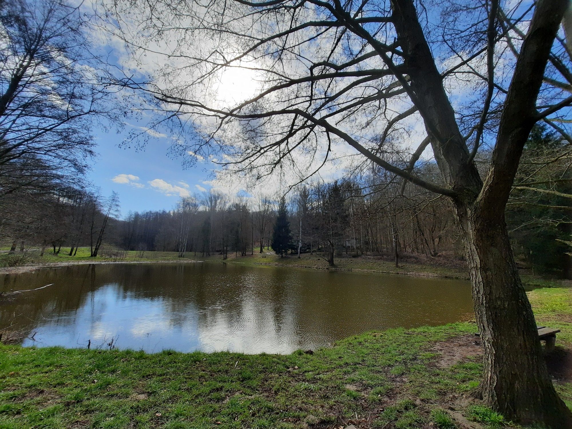 Teiche am Pfingstfleck