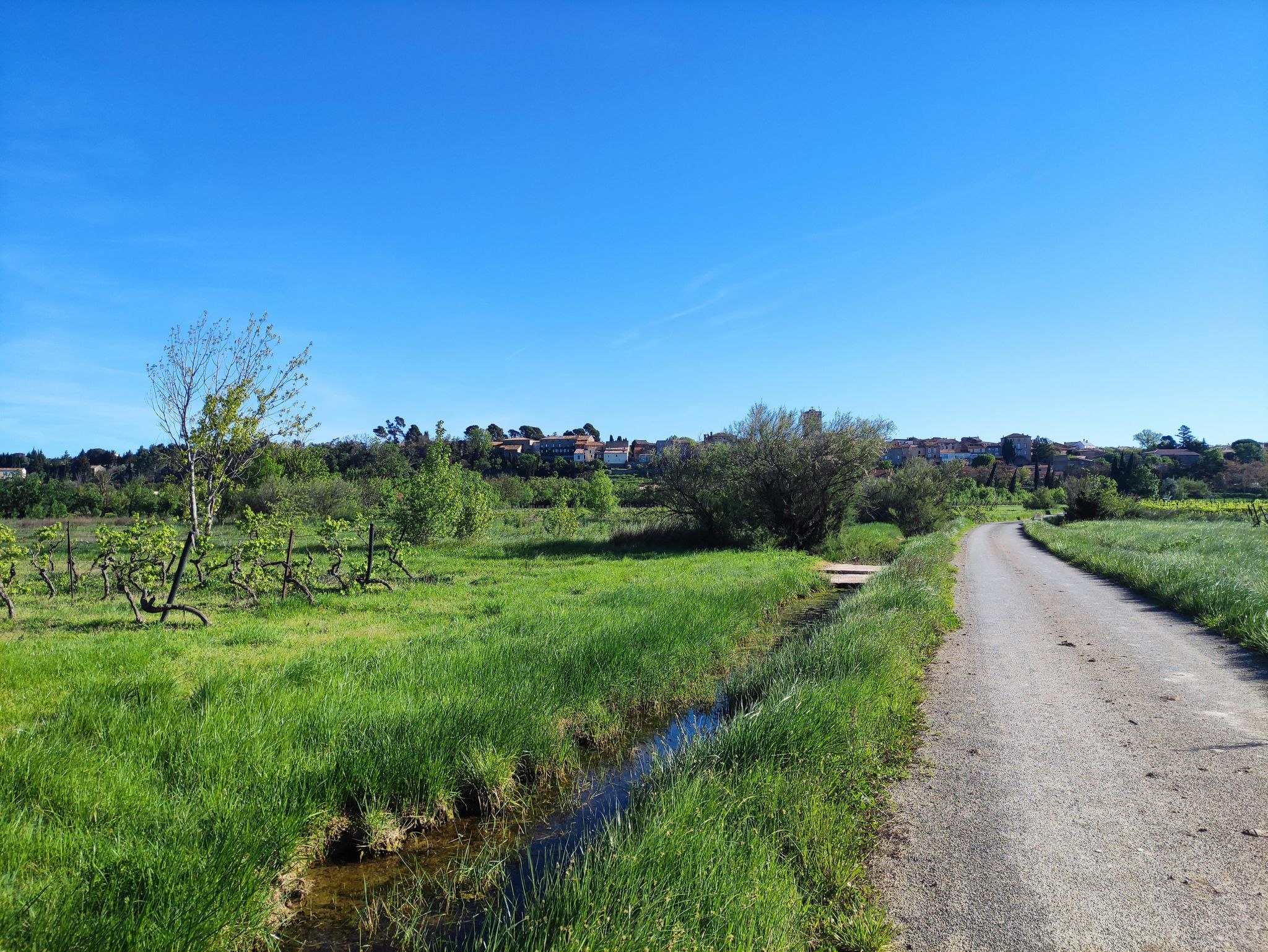 Vue sur Azille