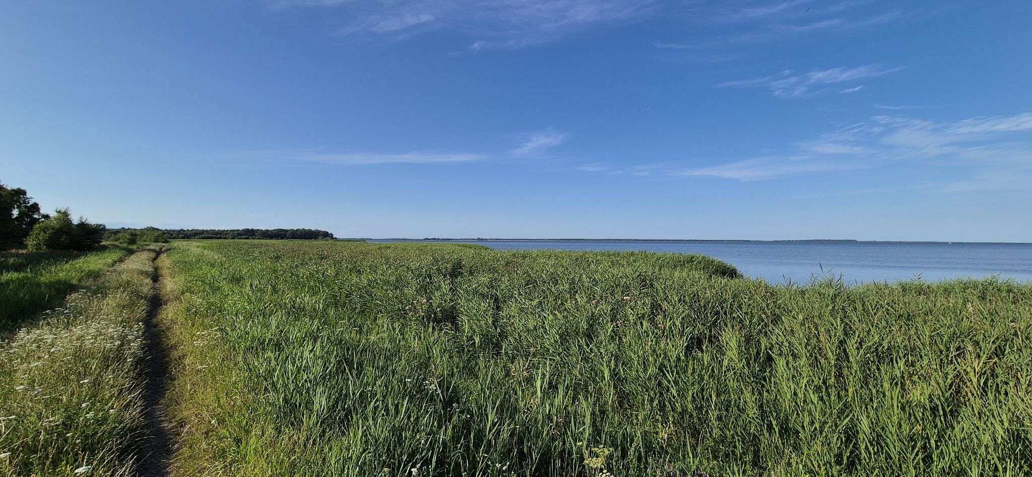 Blick auf den Barther Bodden