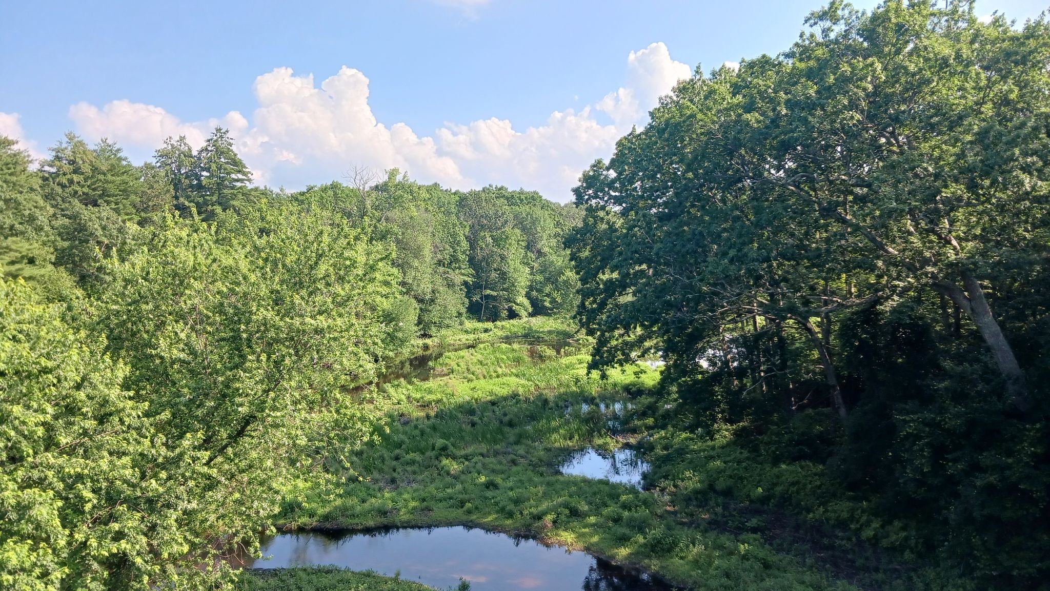 Sunny landscape with a winding stream, green trees, and blue sky. - Guernsey Sanctuary and Riverside Trail