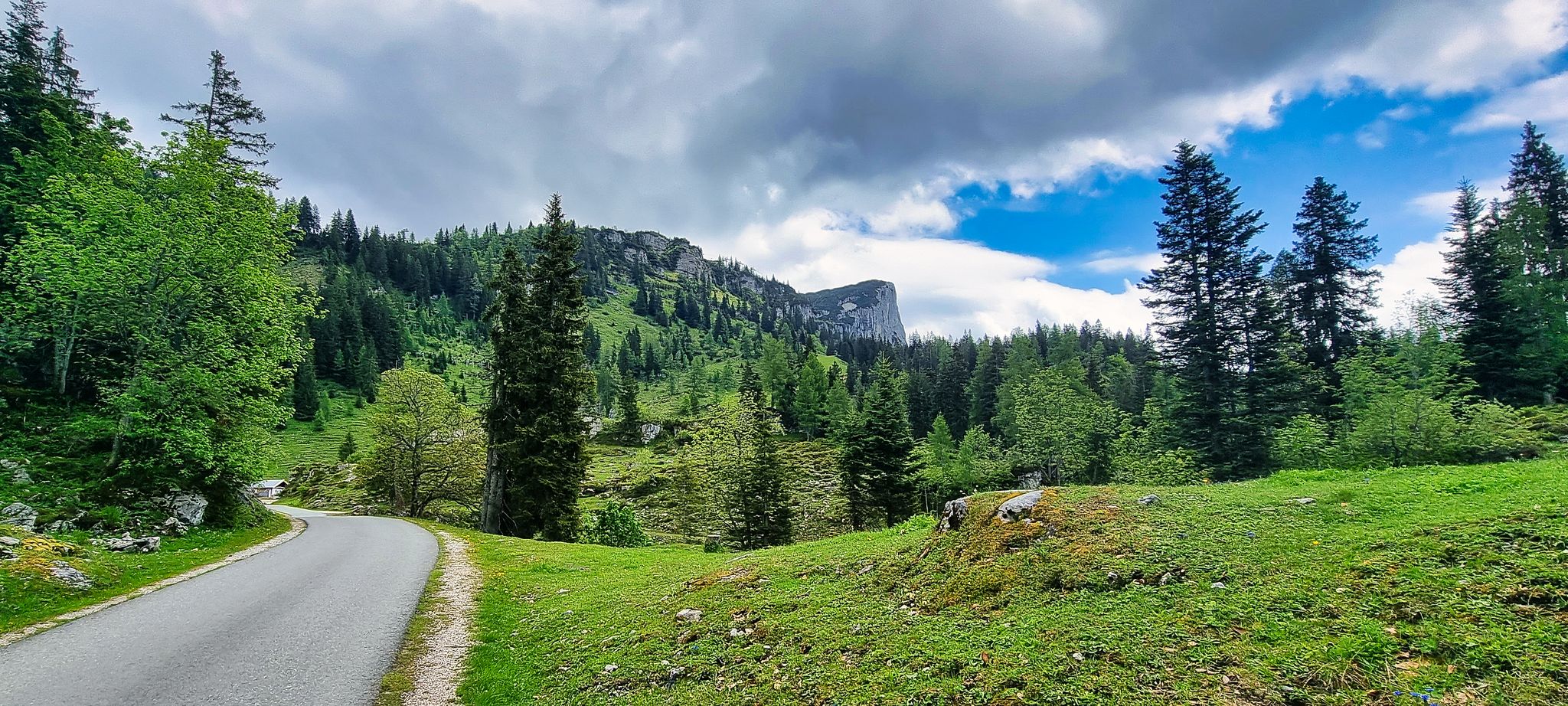 kurz vor der Stallenalm Blick Richtung Kletterfelsen Steinplatte