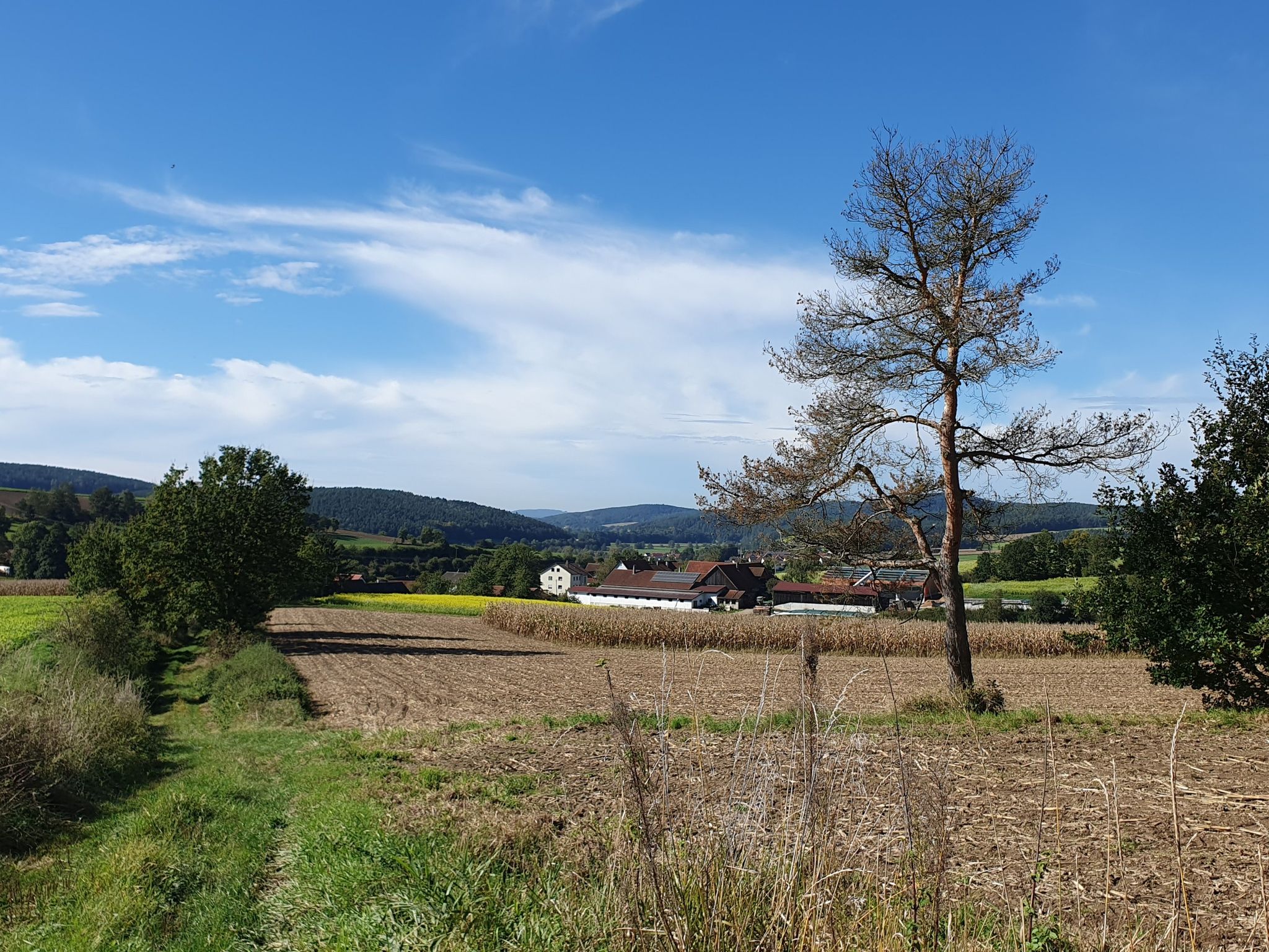 Weitblick