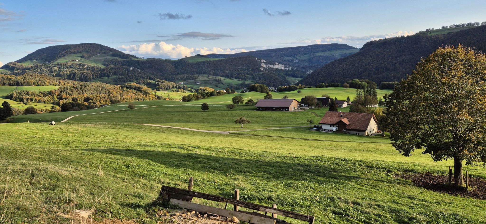 Blick vom Reckenkien nach Süden