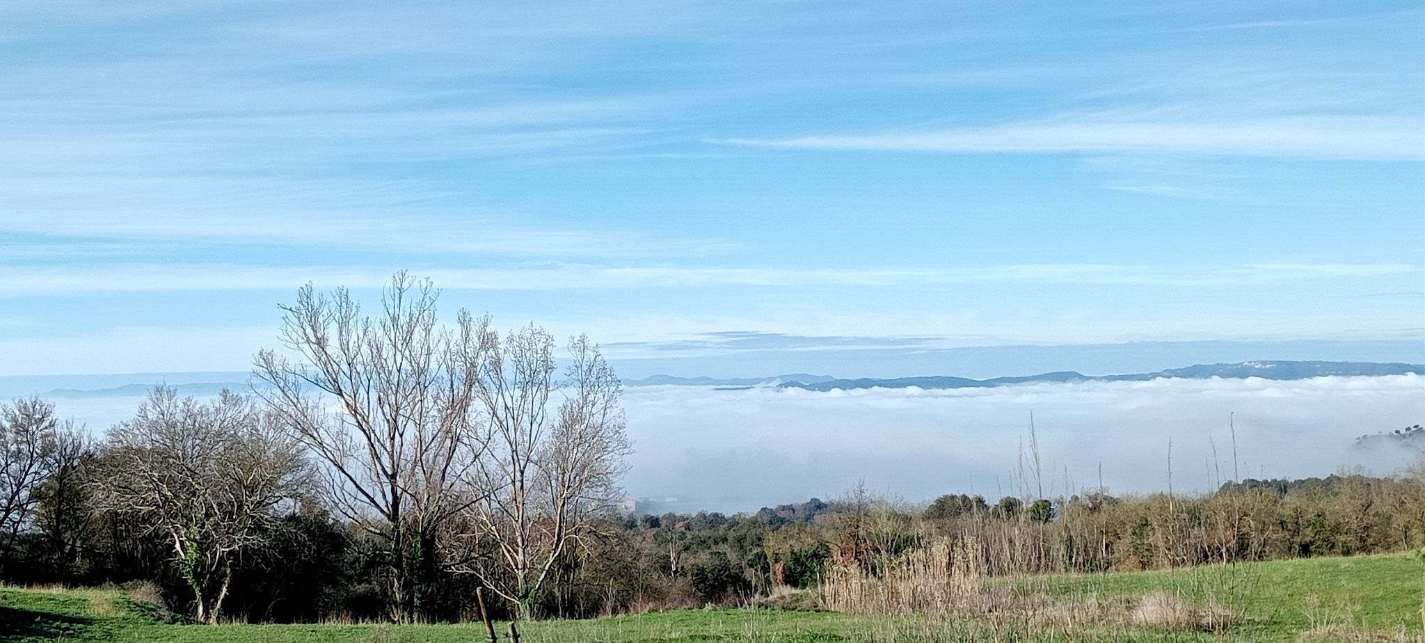 Sota la boira, plana de Vic.