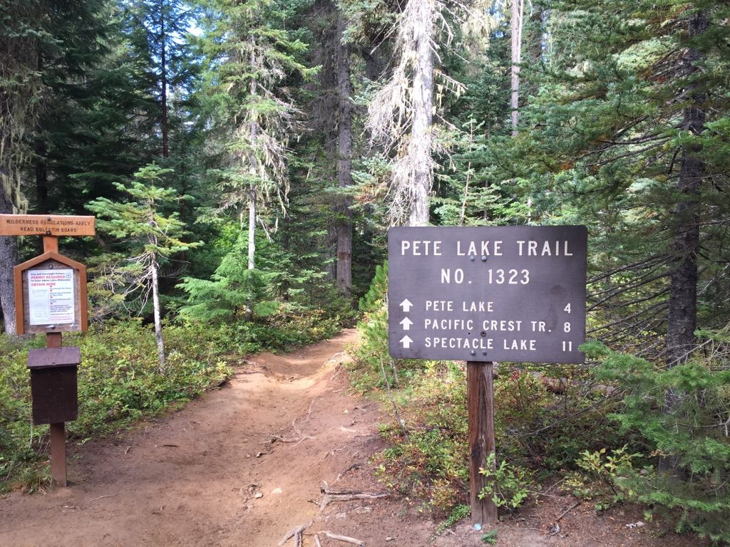 Two wooden trail signs mark a dirt path leading into a dense, sunlit forest. - Pete Lake Trail