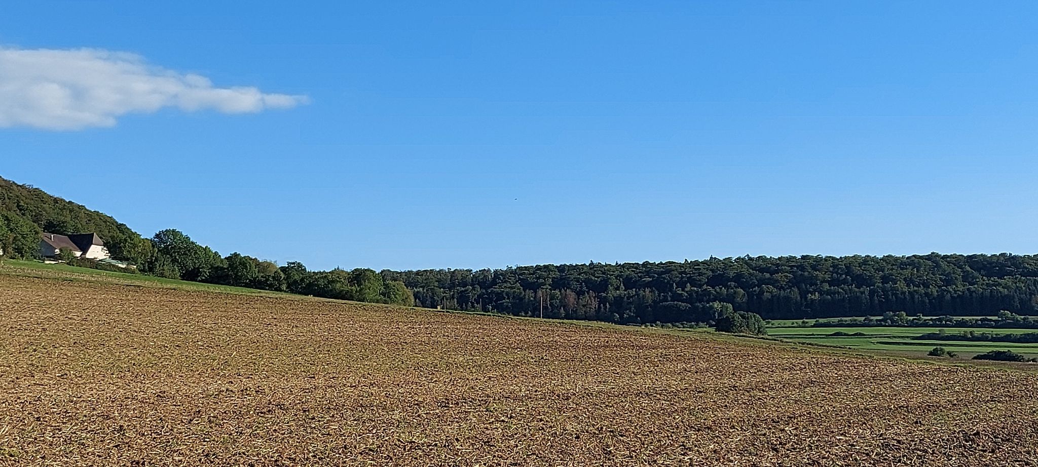 Versöhnliches Ende