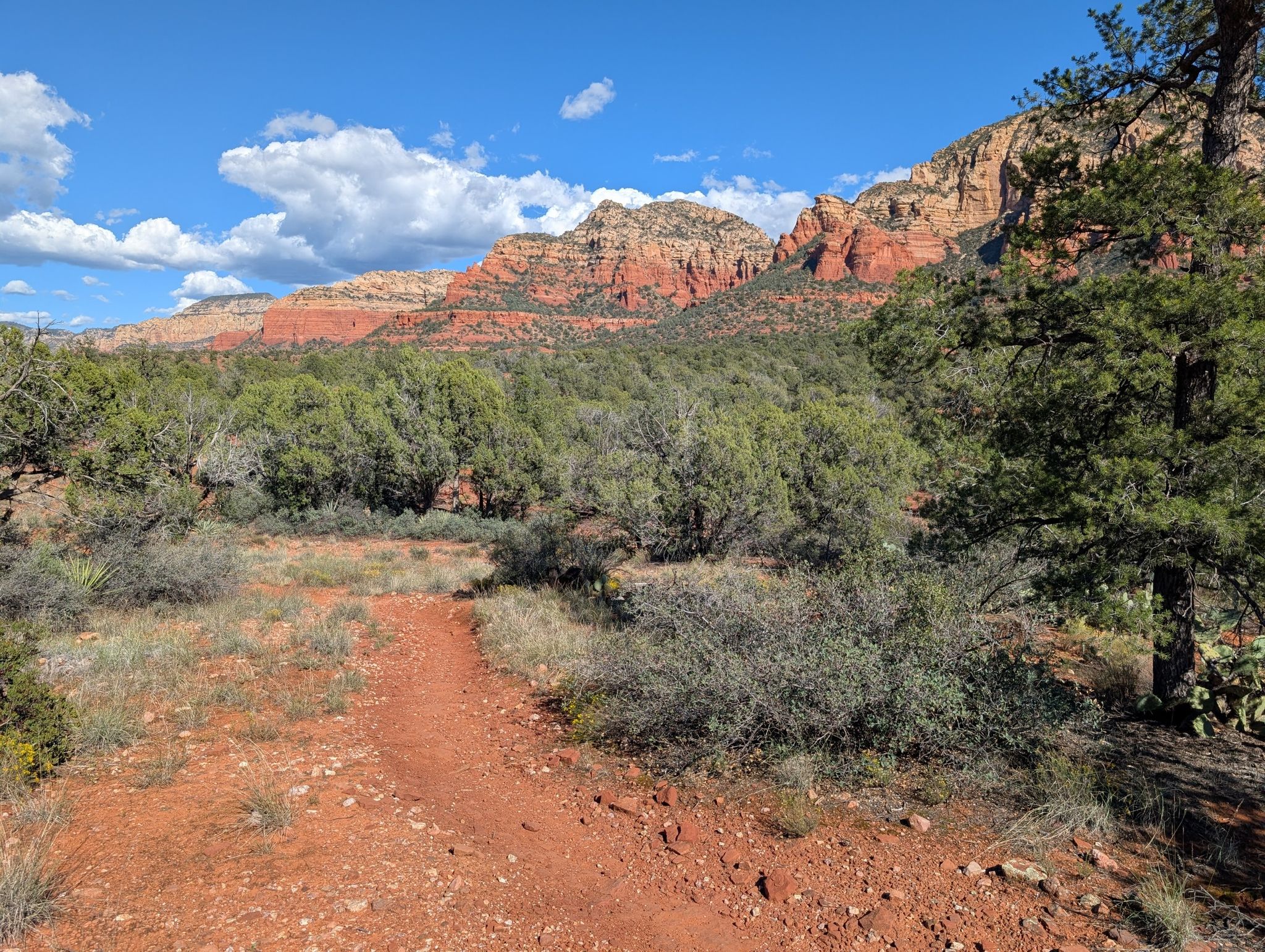 Red dirt path through green scrub, leading to distant red rock mountains. - Mescal, Aerie, Cockscomb and Dawa Loop