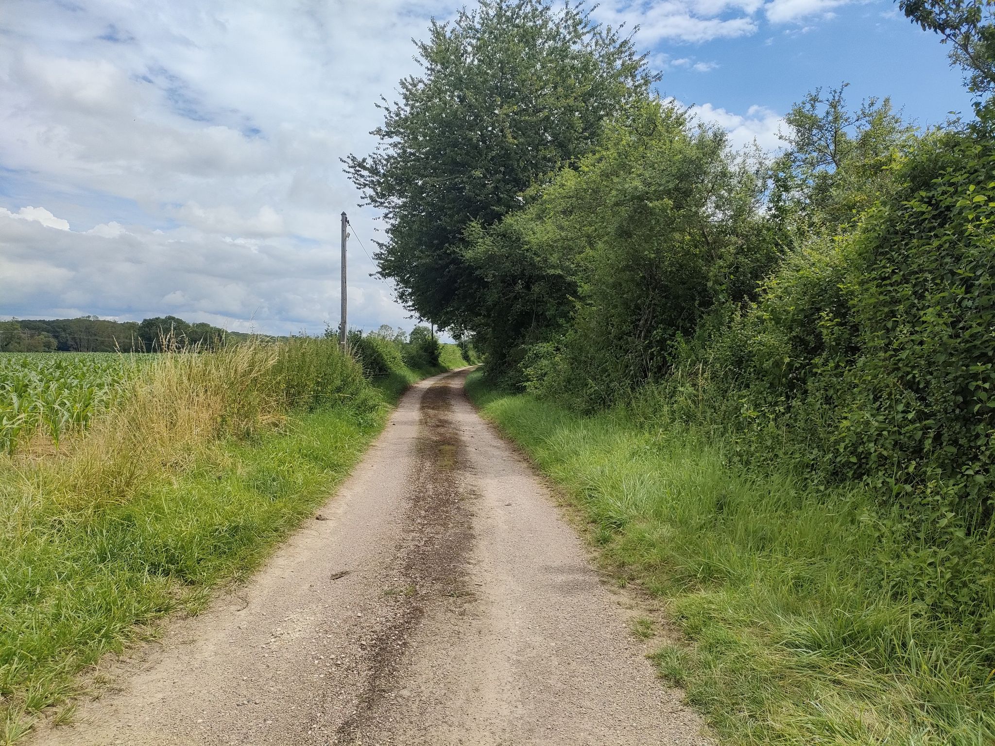 Chemin vers Sauvigny