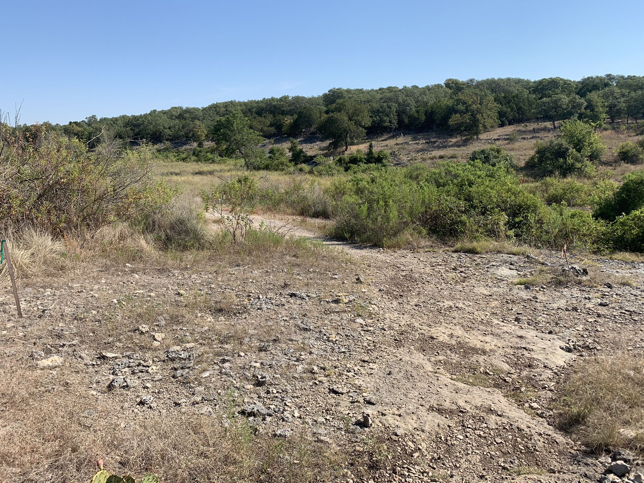 Open, dry, rocky field with sparse green bushes and distant trees under clear sky. - Good Water Trail