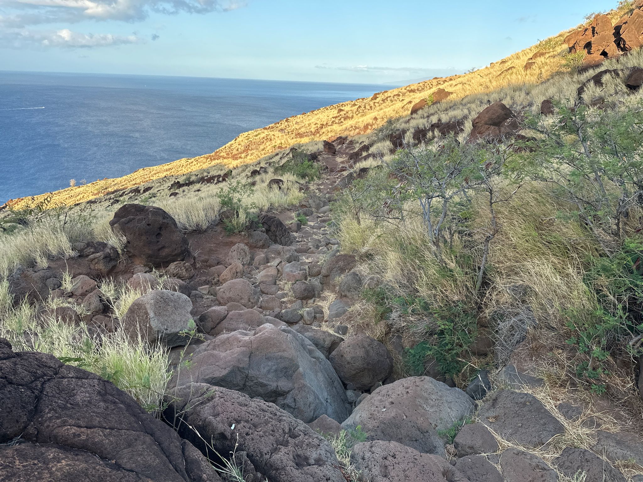 Rocky trail ascending a sunlit, grassy hillside beside the blue ocean. - Kaheawa Wind Farm – Whale Watching Viewpoint loop from Papalaua Wayside Park