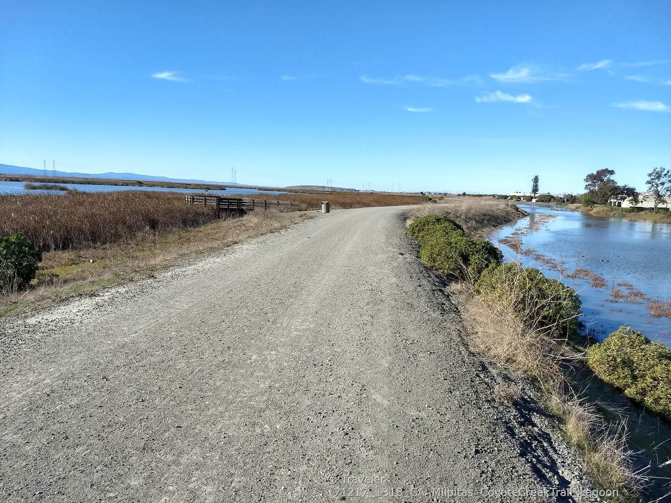 A wide gravel path with water on one side and marshland on the other. - Coyote Creek Lagoon Trail