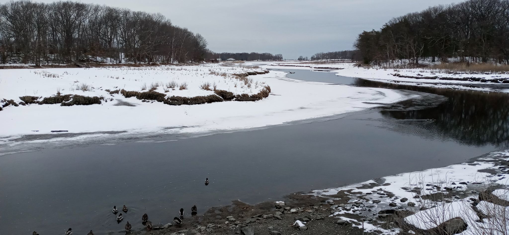 Winding river with snow-covered banks and bare trees under an overcast sky. - Neponset River Greenway and Blue Hills Reservation Loop