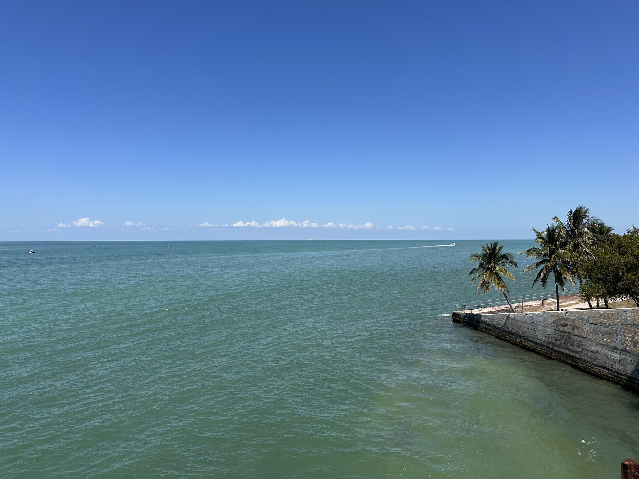 Expansive blue ocean under a clear sky, with palm trees and concrete wall. - Old 7-Mile-Bridge 🚴 🏃 🛼 loop from Knights Key
