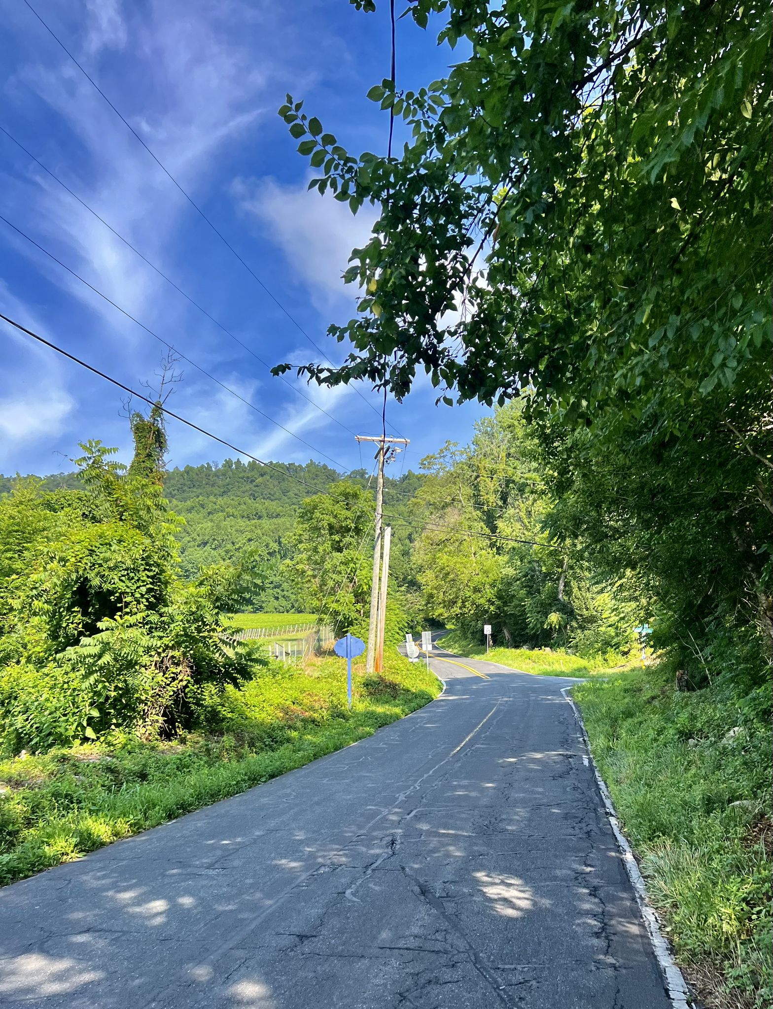 Paved road winding through lush green hills under bright daylight. - Gathland State Park loop from Jefferson