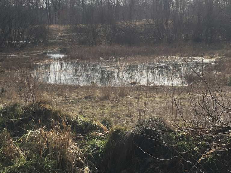 Wanderung in und um Melbeck | Wanderung | Komoot