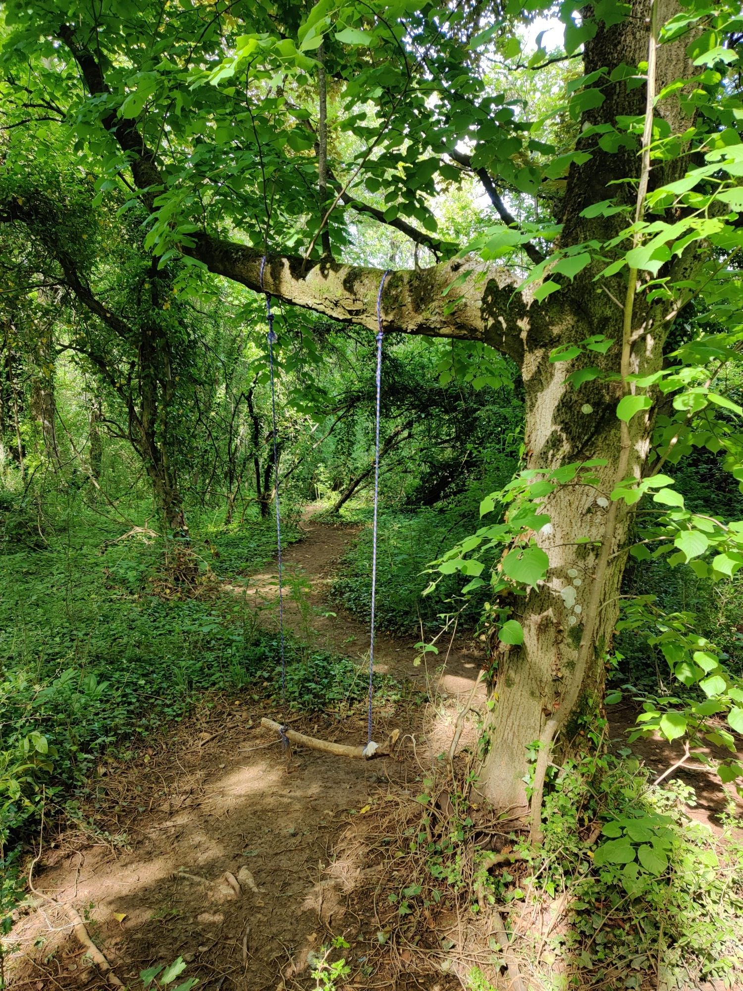 swing