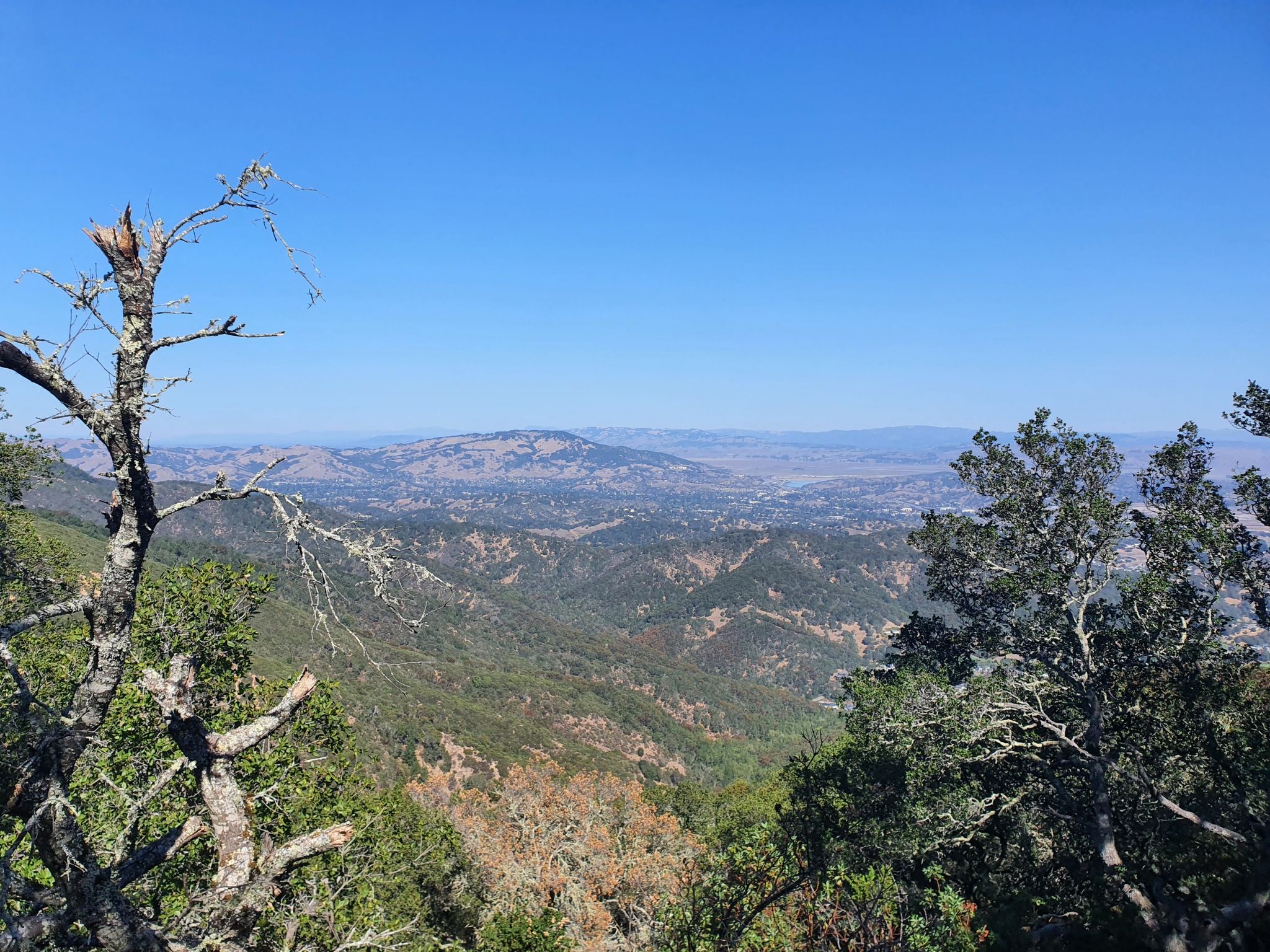 Expansive view of green mountains and a distant valley under a clear blue sky. - Big Rock Ridge – Goat Trail loop from Loma Verde