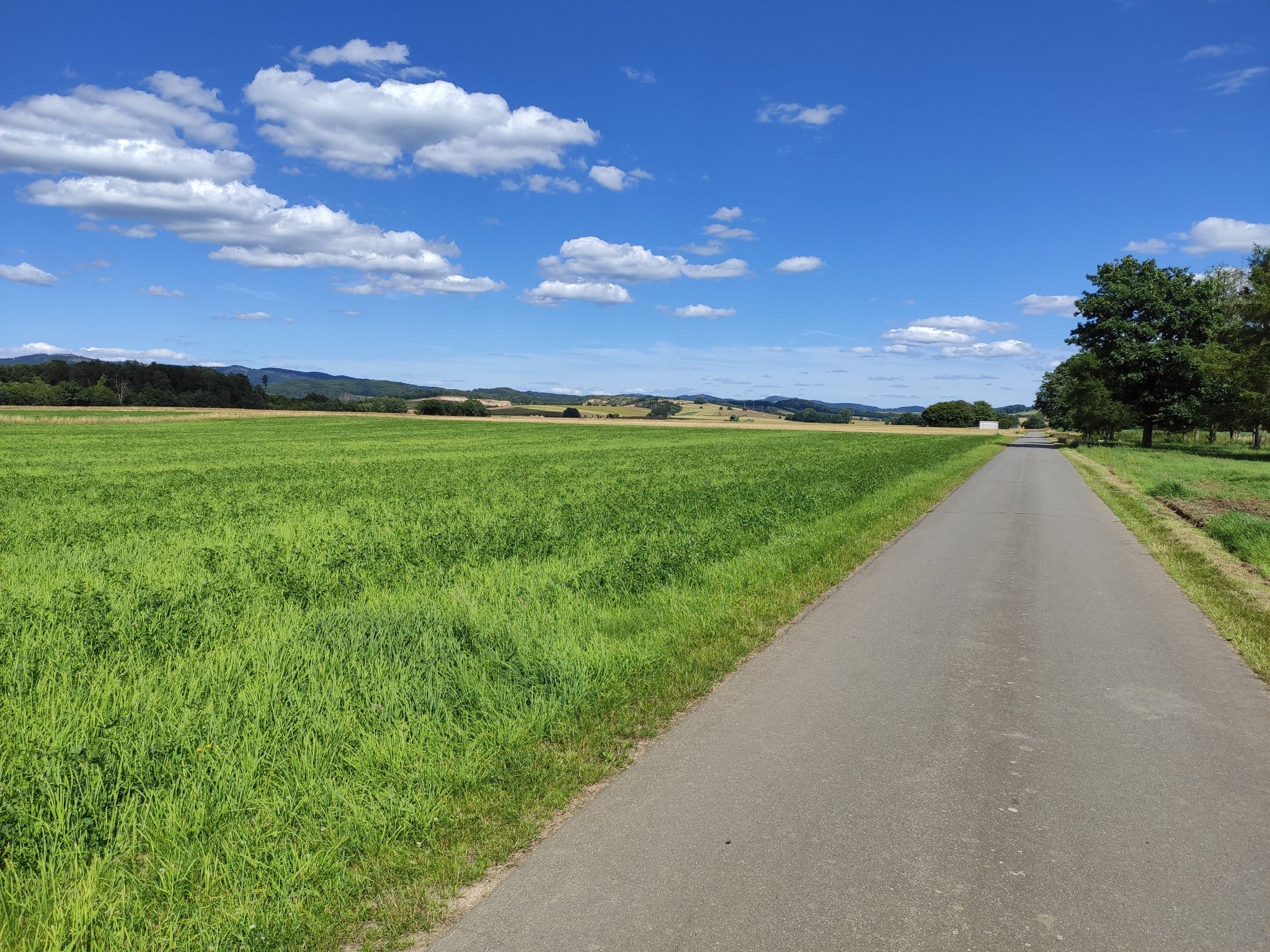 Und weiter geht's entlang der Felder