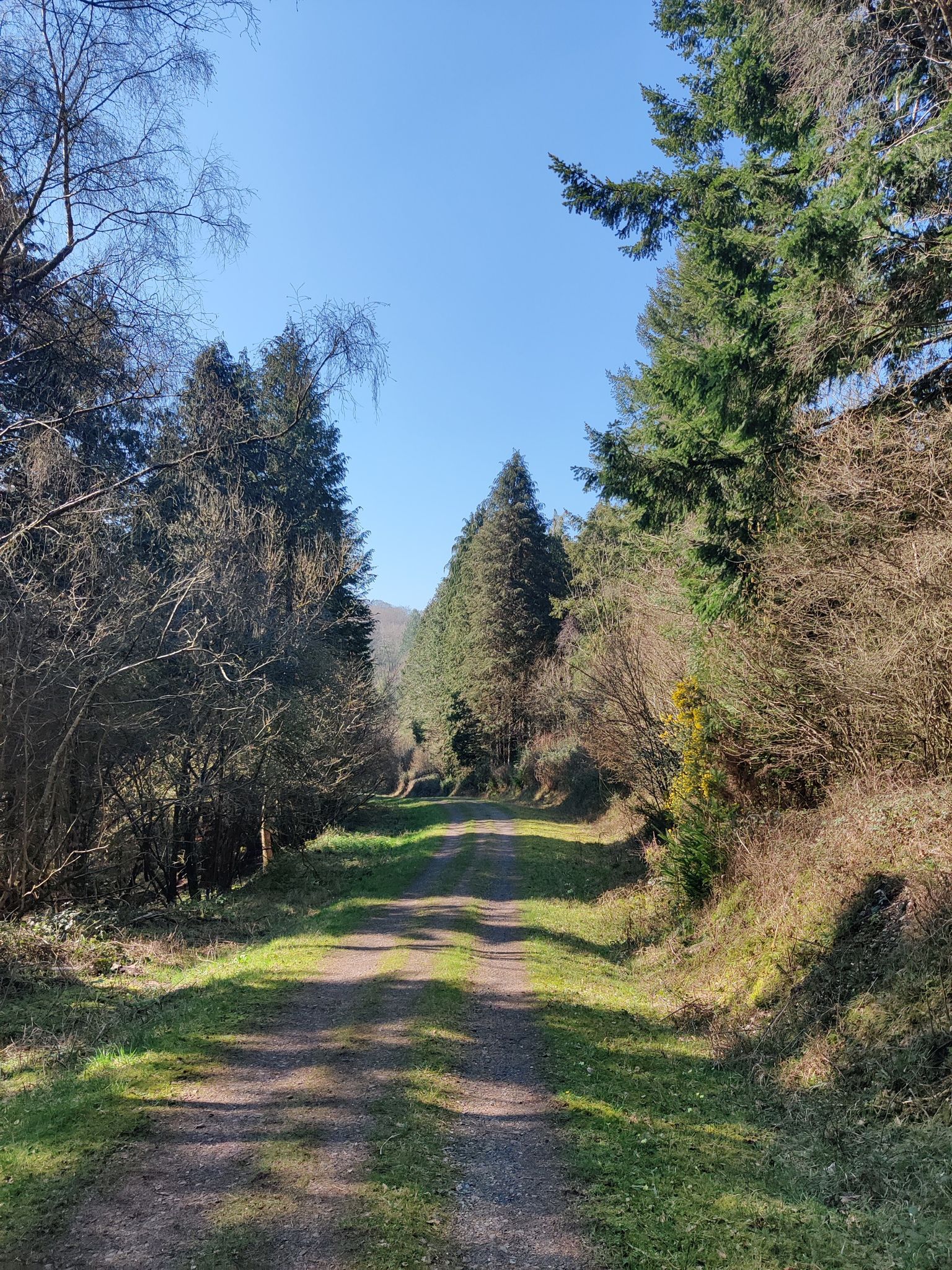 hill 