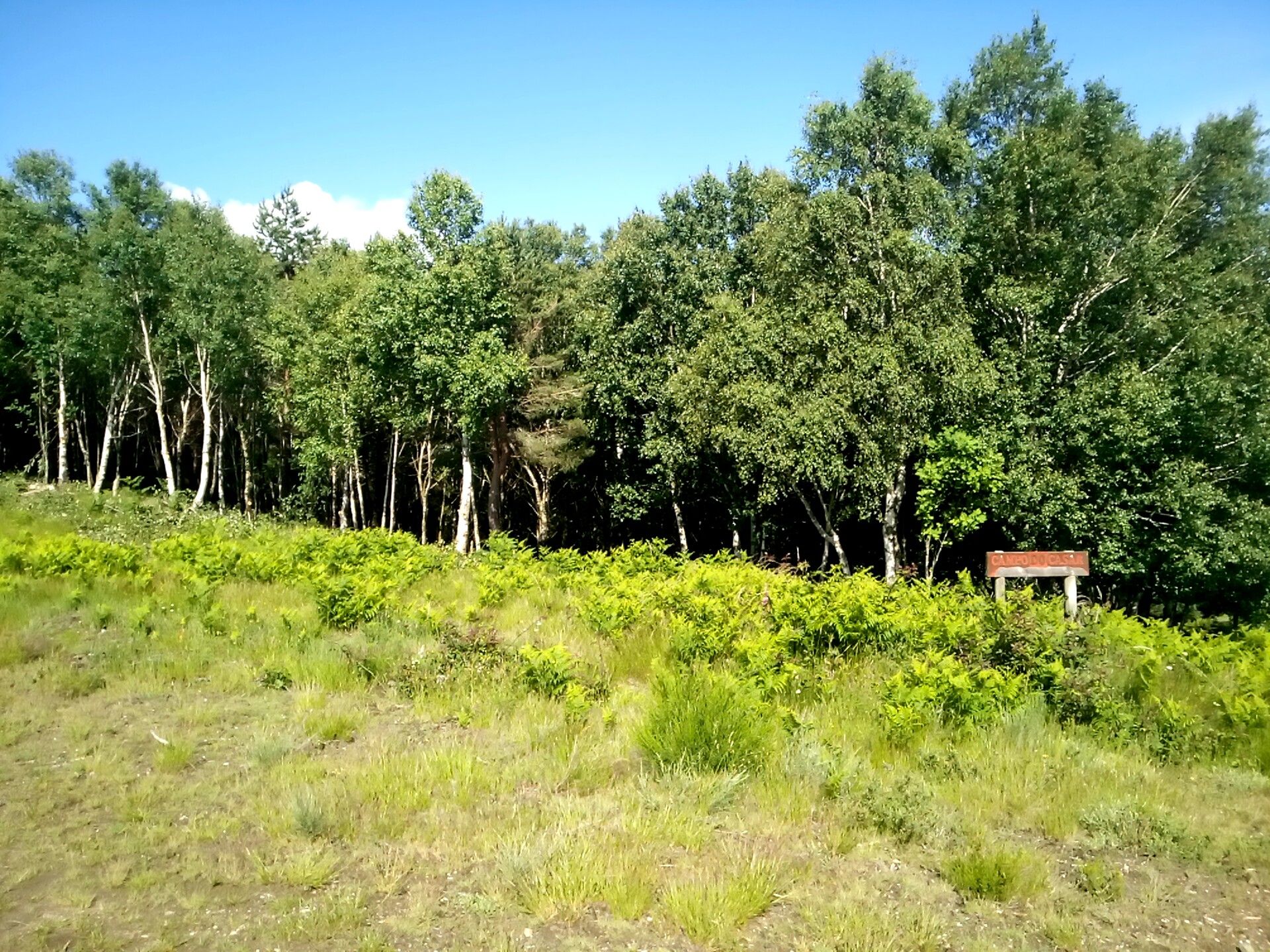 bidueiral de montederramo