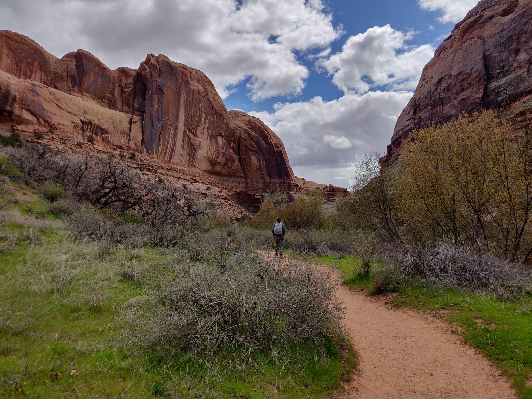 A person walks on a dirt path through a canyon with red rock walls. - Grandstaff Canyon Creek – Grandstaff Canyon Creek loop from Porcupine Rim Trailhead Parking