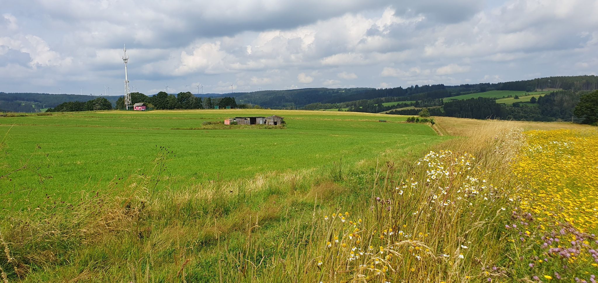 . . .aussichtsreiche Höhe:  die Züngesbenden nördlich von Hönningen gelegen