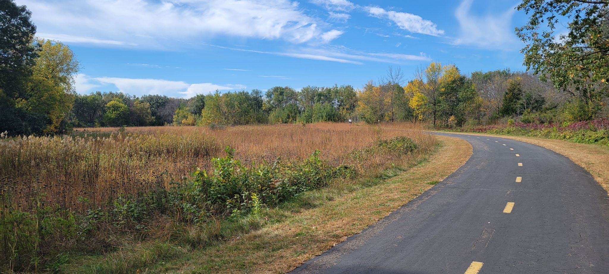 Paved path curves through a field of tall grass under a blue sky. - Elm Creek Swimming Pond – Rush Creek Regional Trail loop from #10449