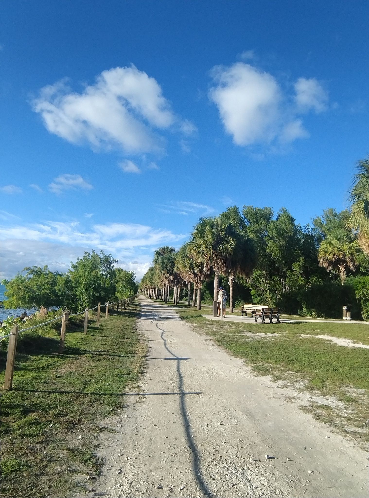 A dirt path lined with palm trees and benches under a bright blue sky. - Cape Florida Lighthouse – No Name Harbor loop from Bill Baggs Cape Florida State Park