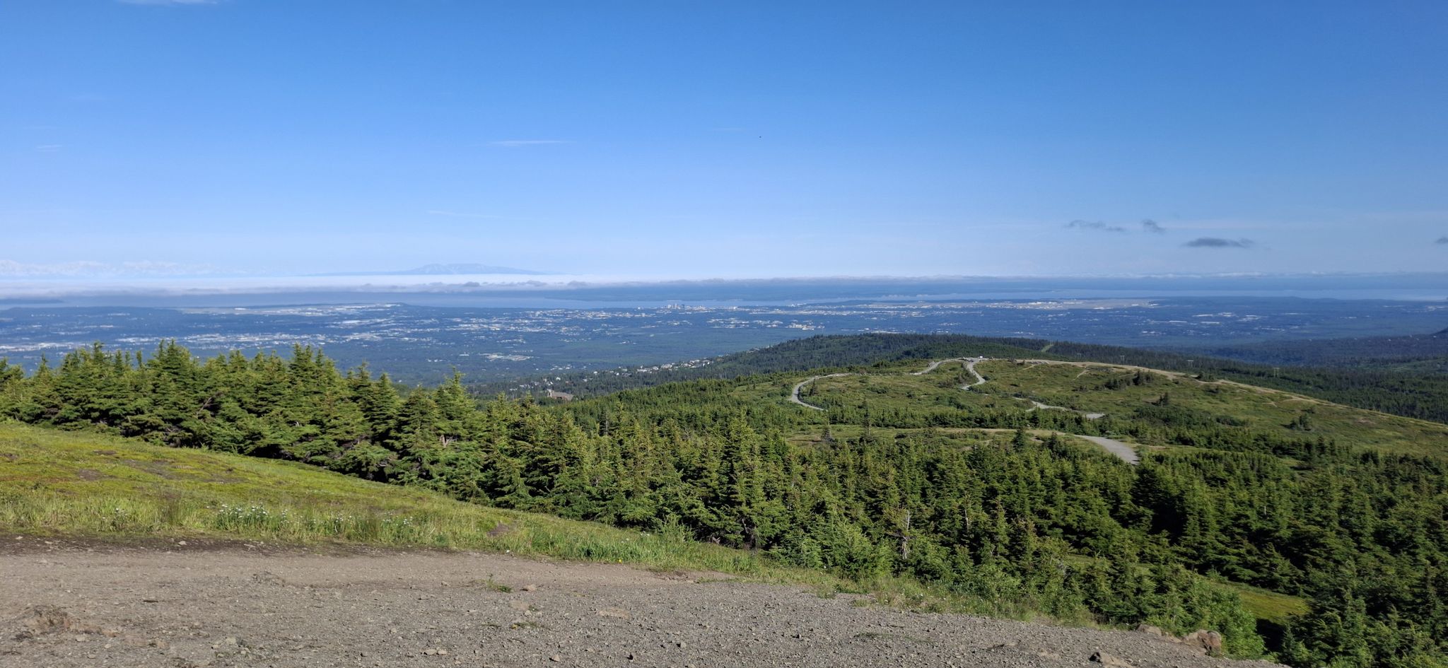Panoramic view of a vast green forest and distant city under a clear blue sky. - Blueberry Knoll Loop