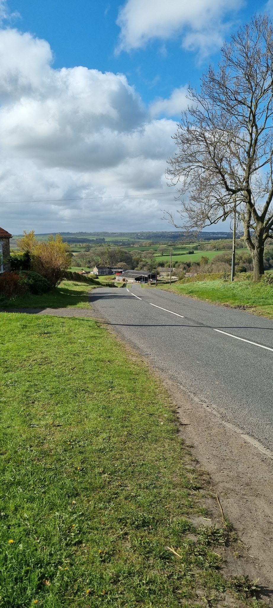 Hill