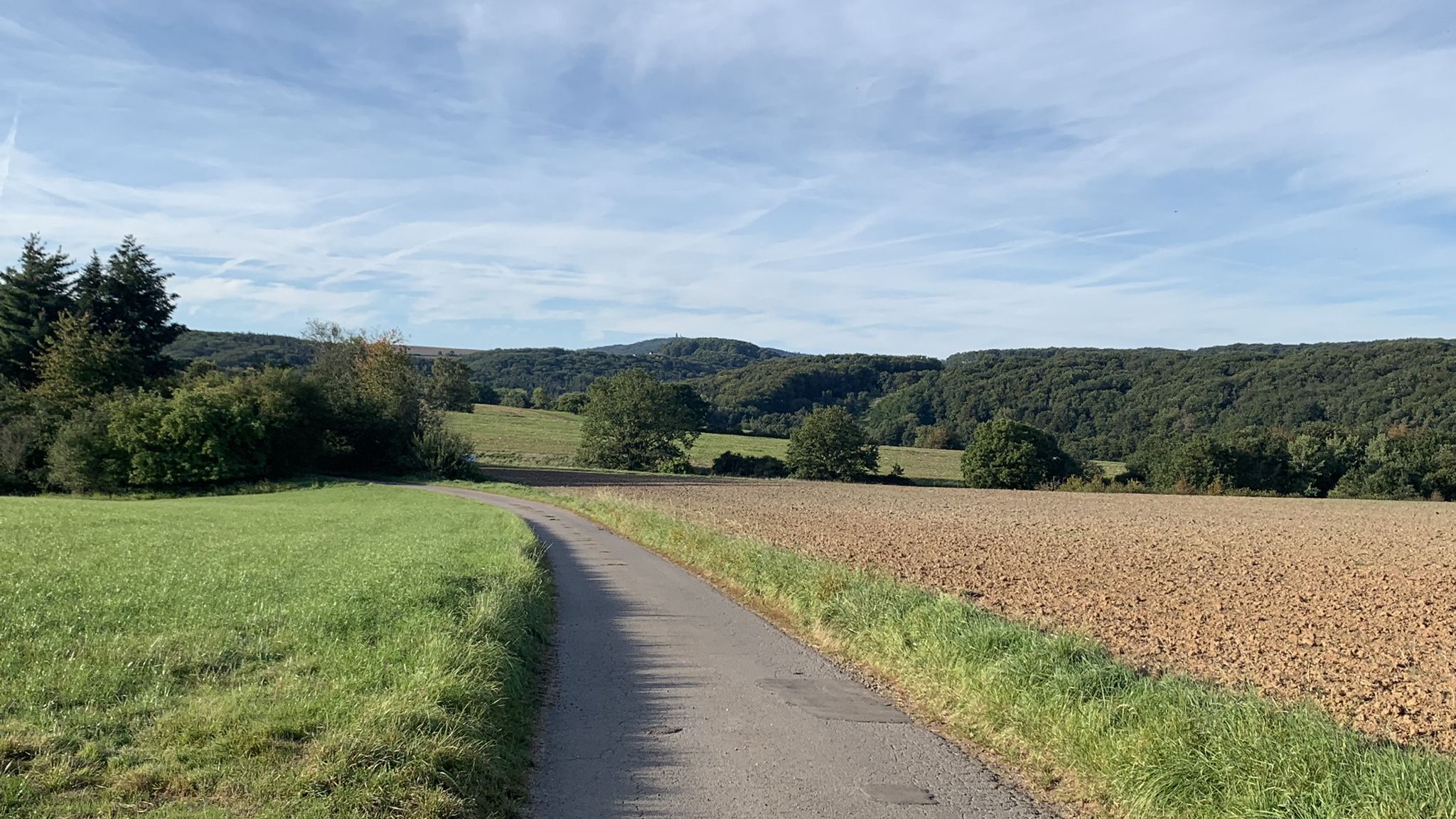 Schon wieder Potzbergblick