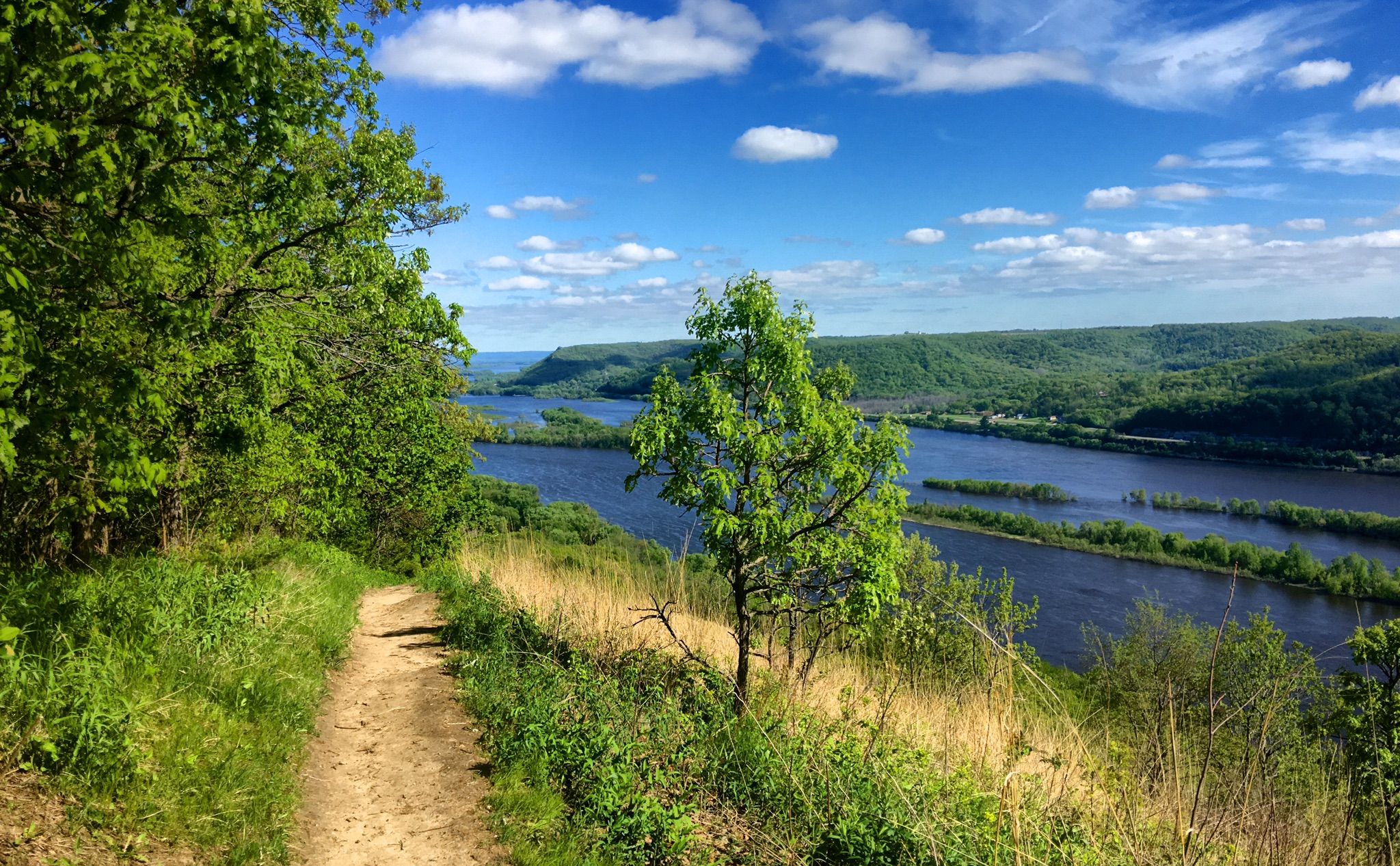 Dirt path along a green hillside overlooking a wide river under a blue sky. - Brady's Bluff and Riverview Trail Loop