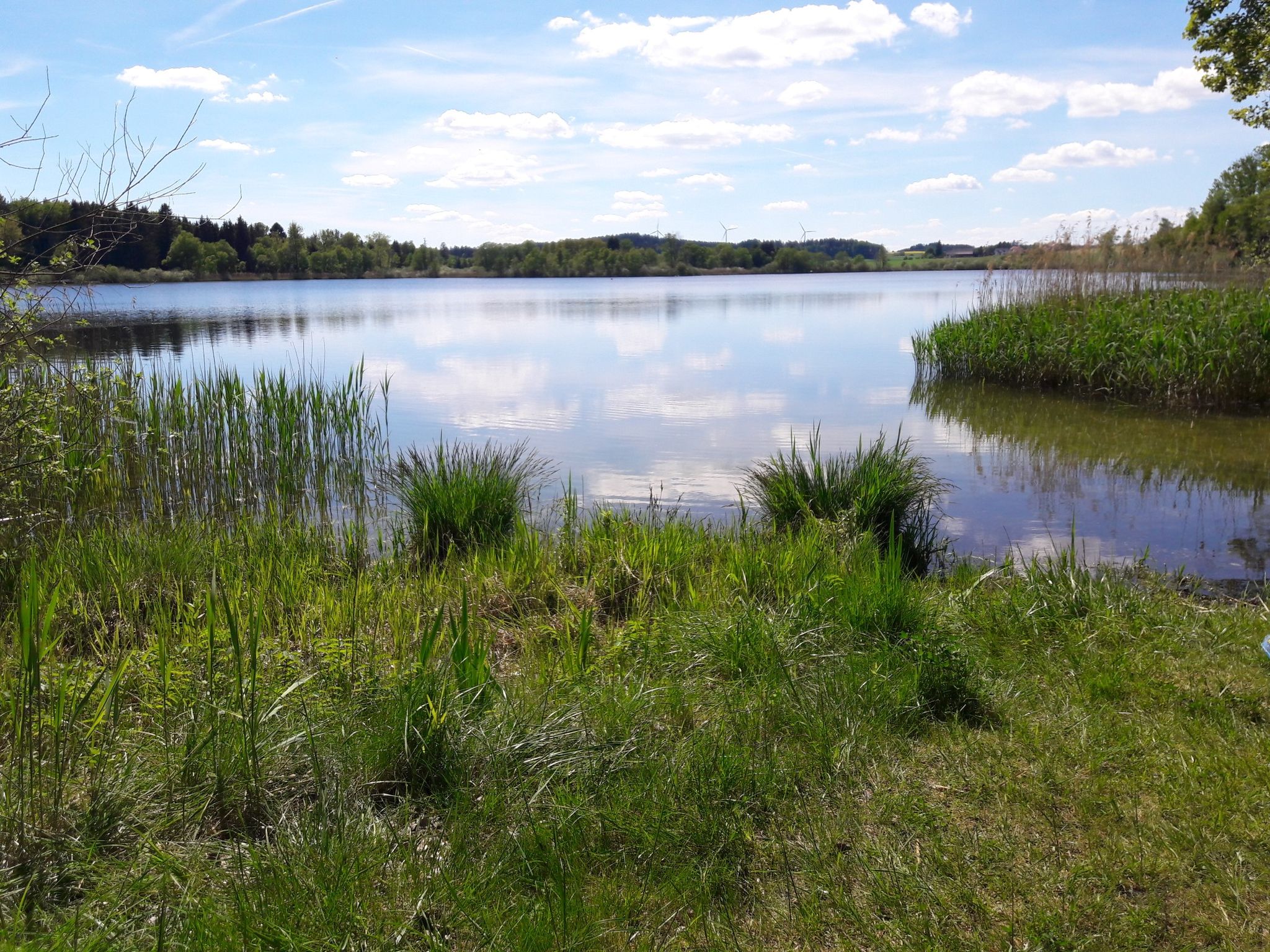 Rauschweilersee