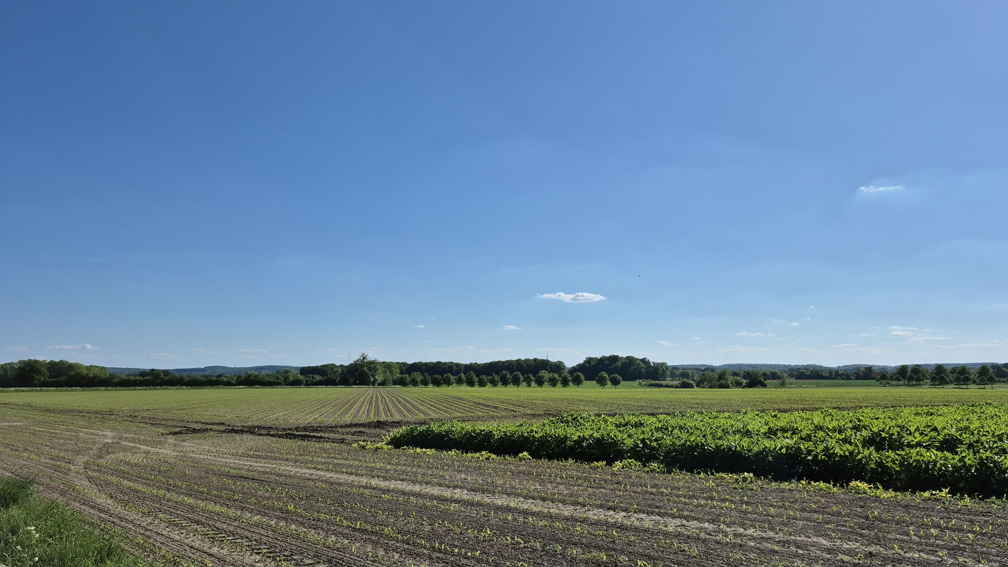Blick in die Baumberge