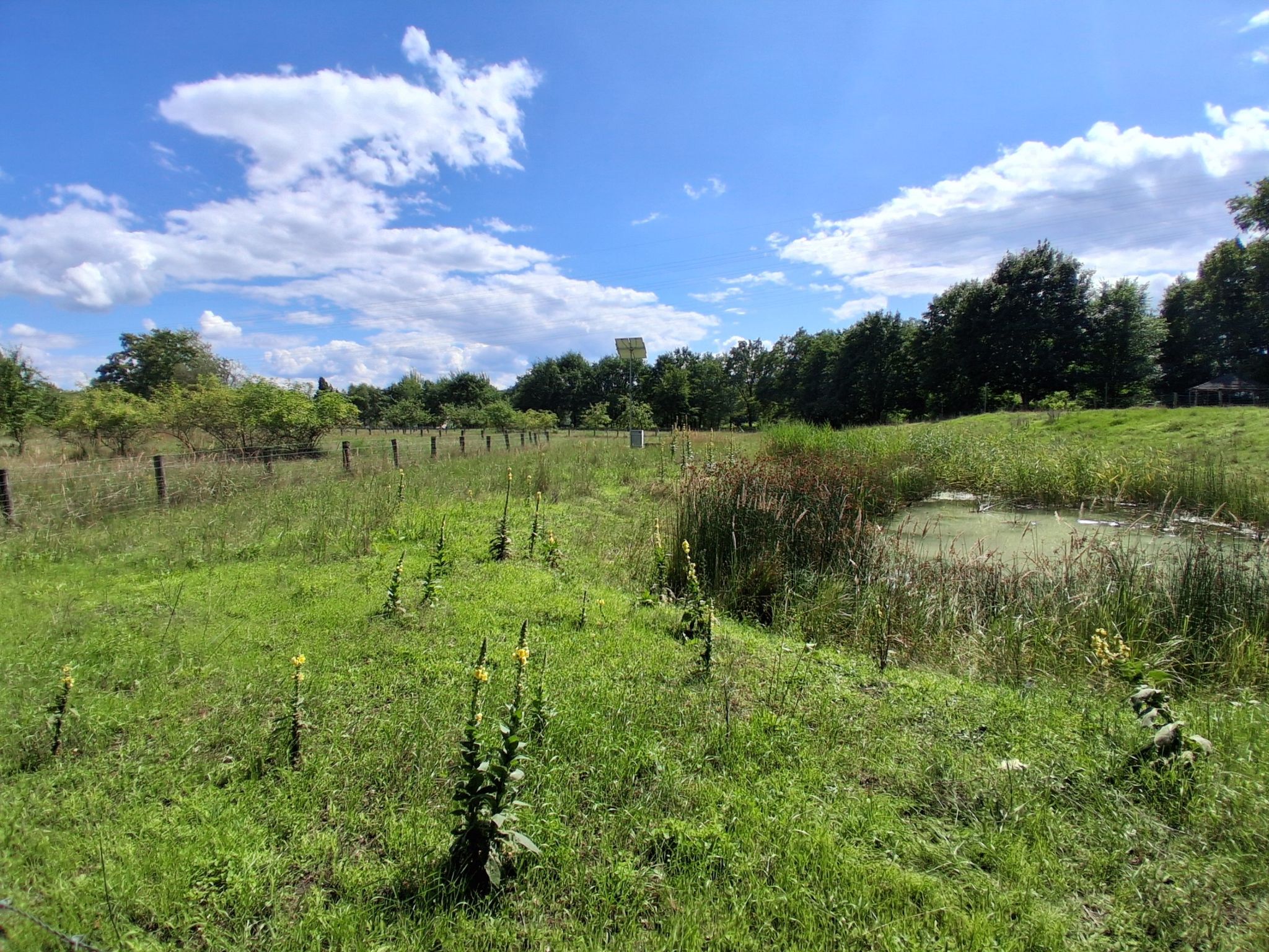Landschaftspark Herzberge