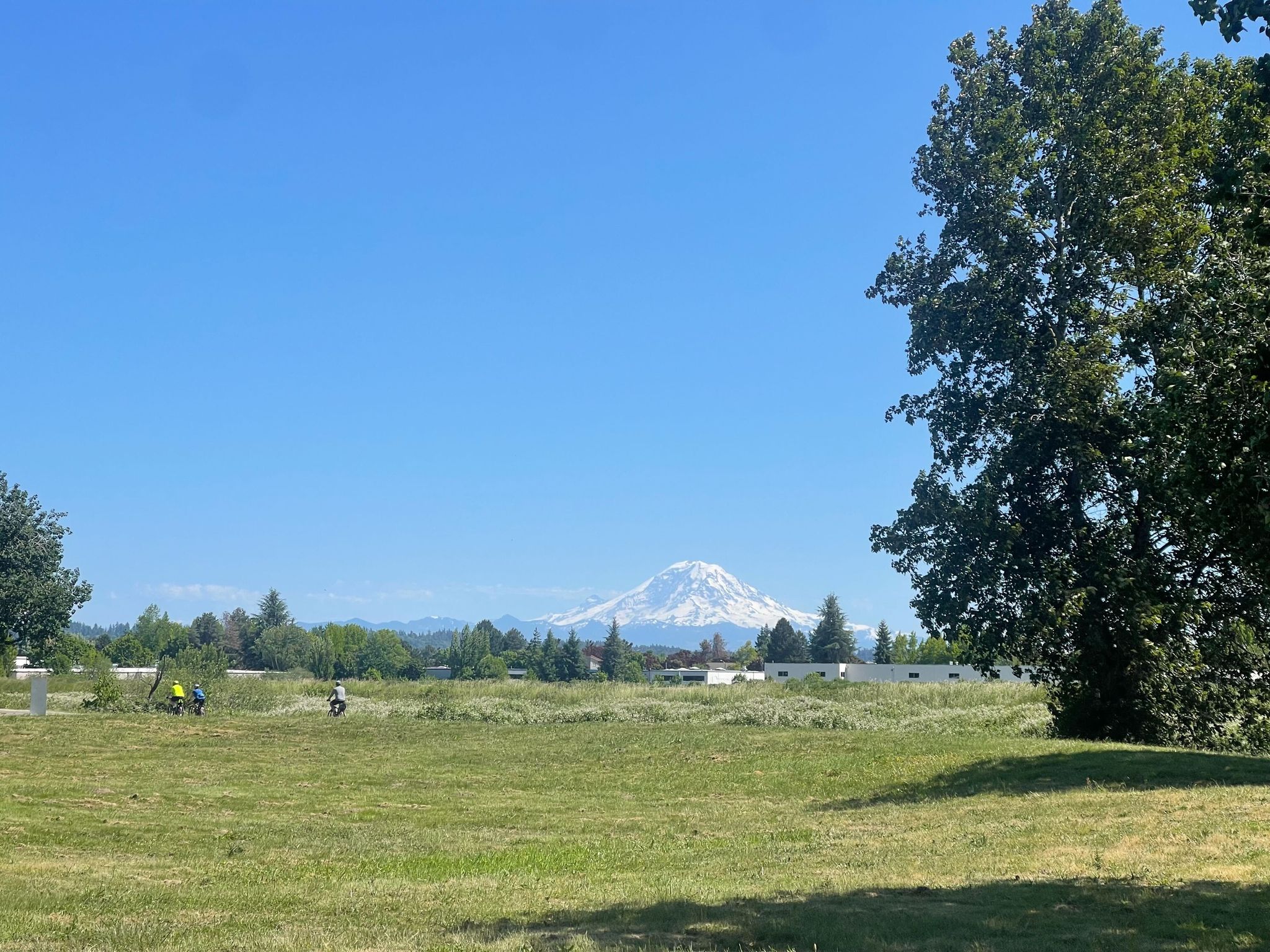 Sunny view of a snow-capped mountain over a green field with distant people. - Green River Trail – Van Doren's Landing Park loop from Tukwila