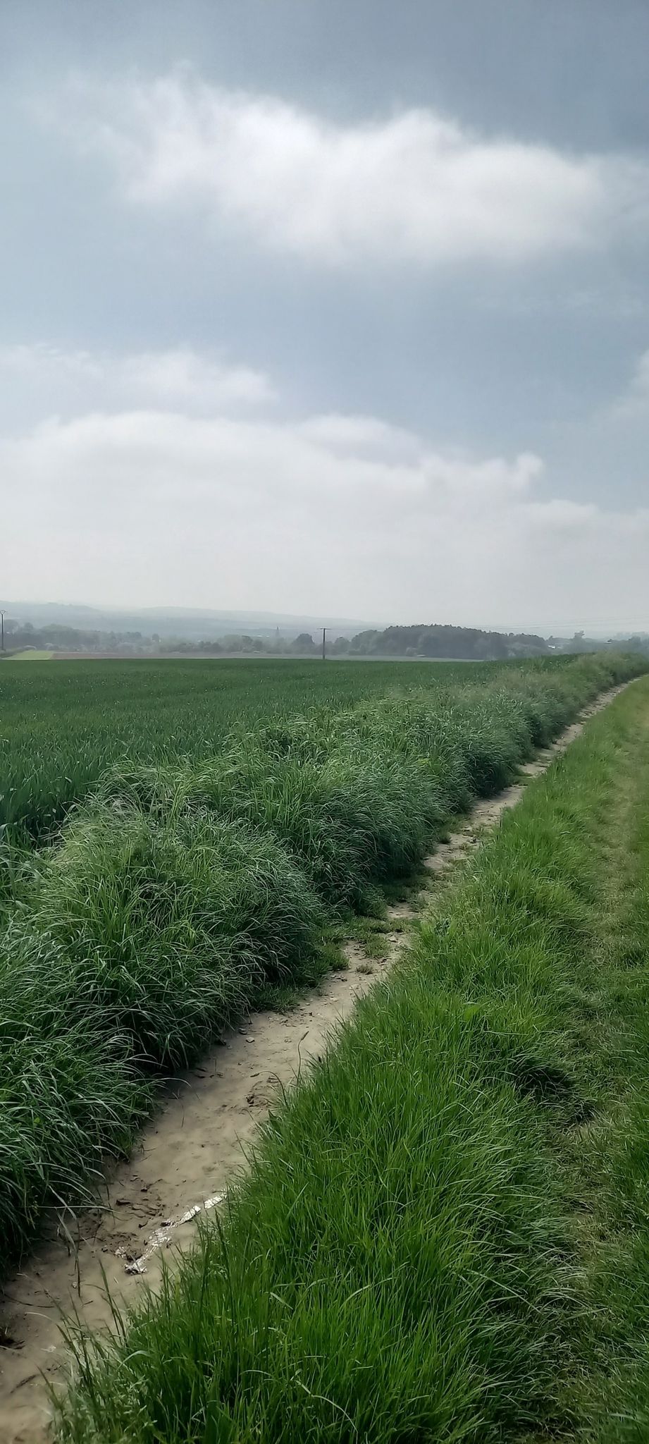 zeer mooie landweg 1 en al rust