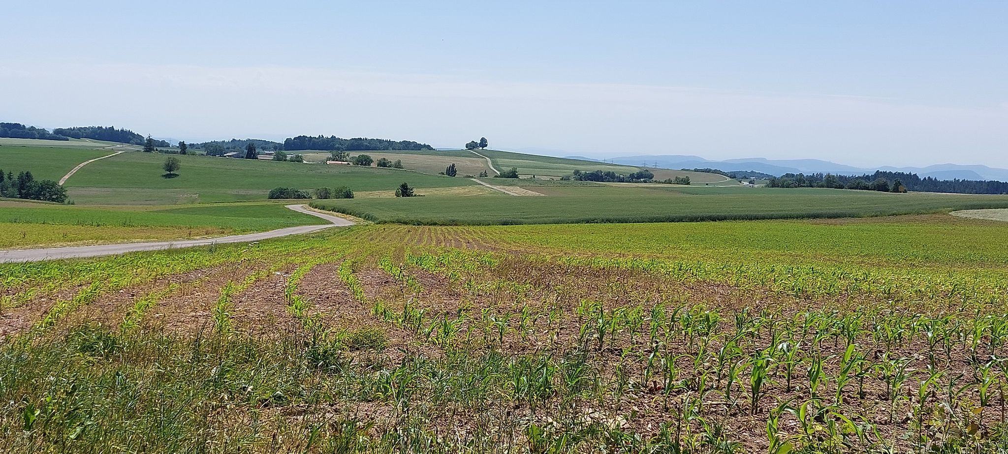 Blick auf den Gupfen