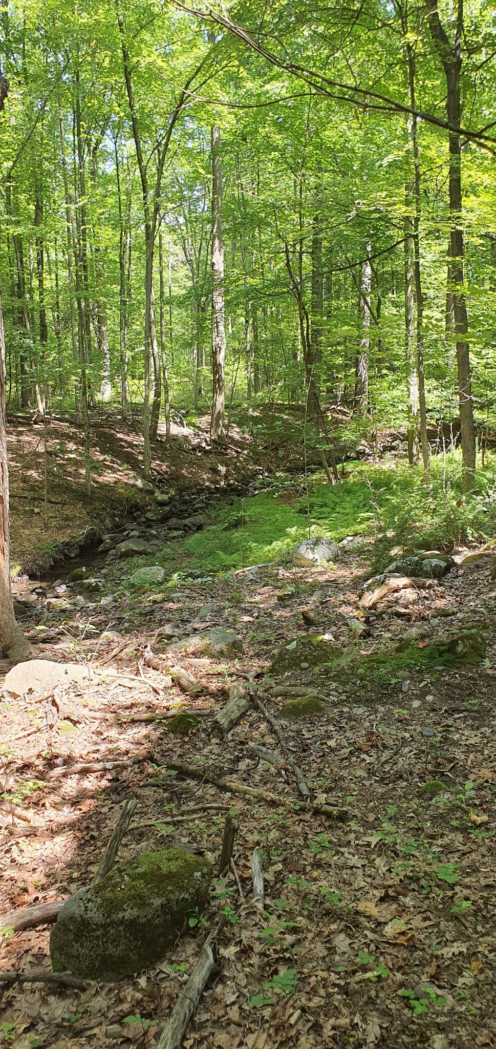 Waldbach