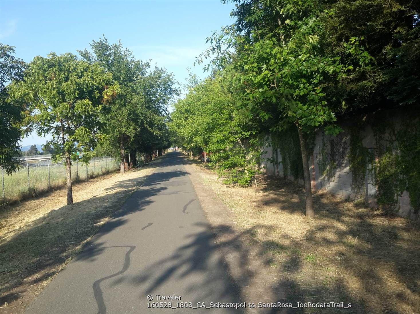 A paved path lined with trees and a wall, bathed in bright sunlight. - Joe Rodota and Santa Rosa Creek Trails Loop