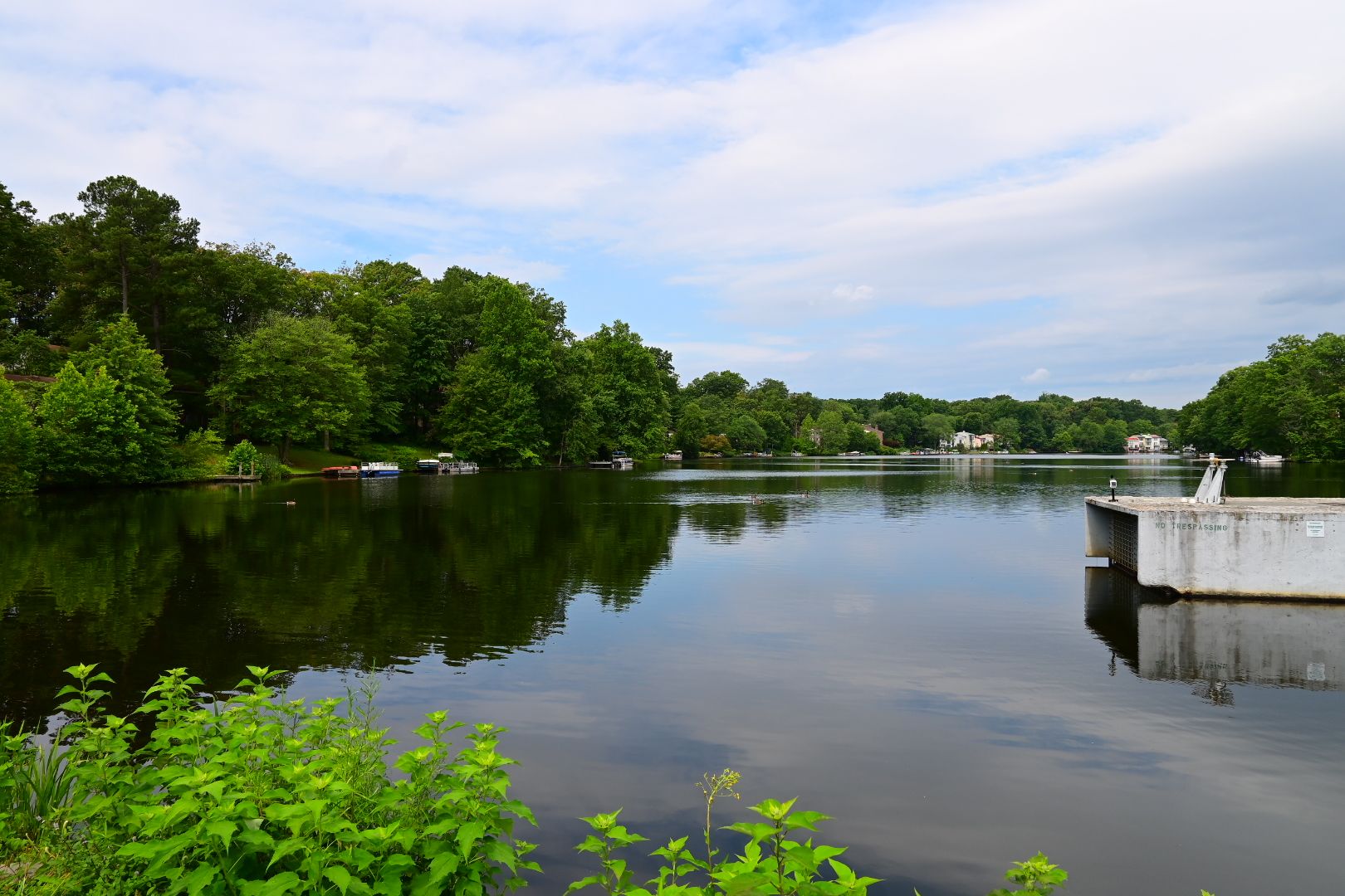 Calm lake surrounded by green trees under a partly cloudy sky. - Lake Anne Plaza – Bridge to W&OD Trail Access loop from Great Falls Crossing