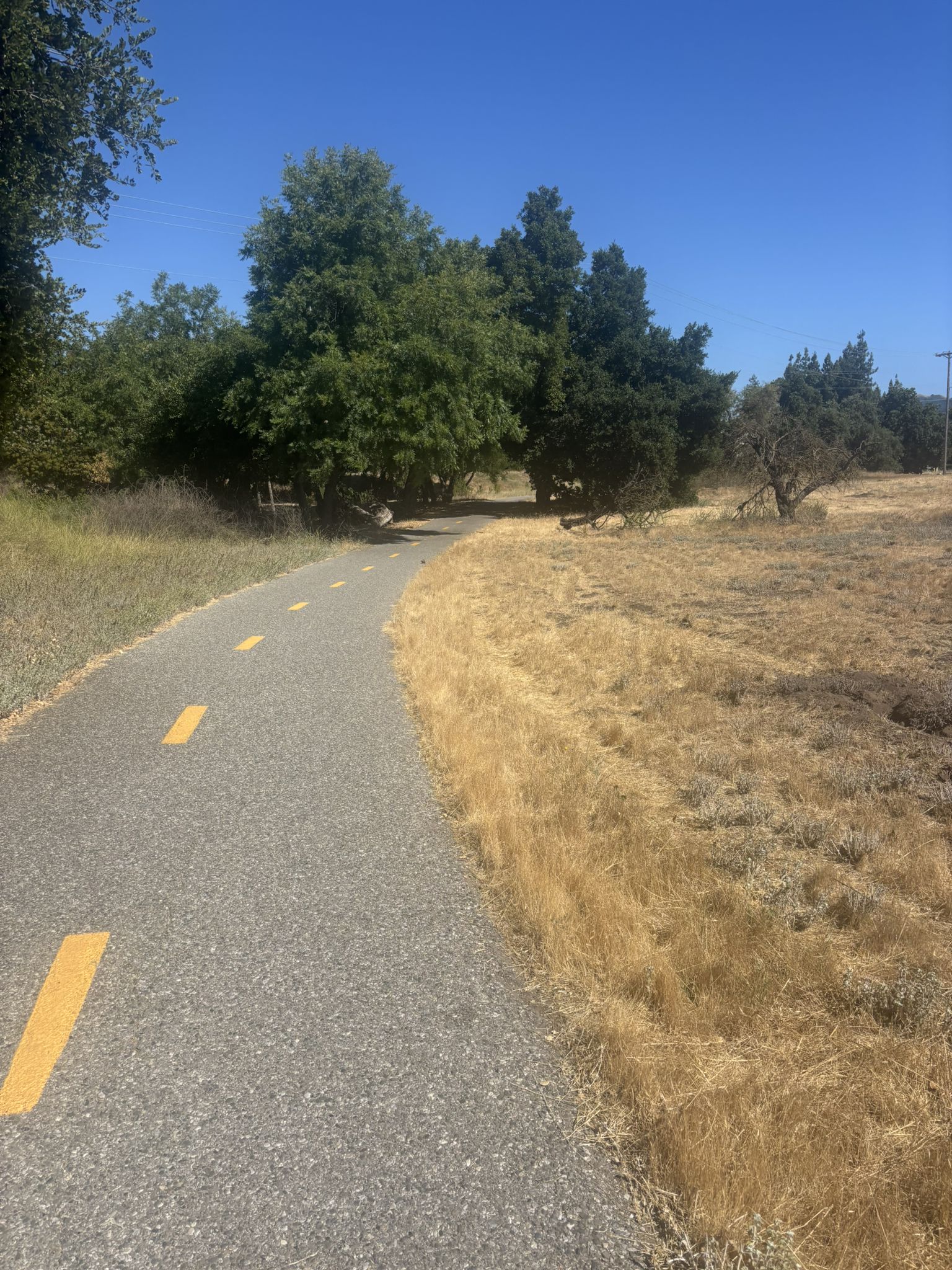 Paved path with yellow lines, dry grass, green trees, under clear sky. - Santa Teresa County Park loop from Almaden Quicksilver County Park