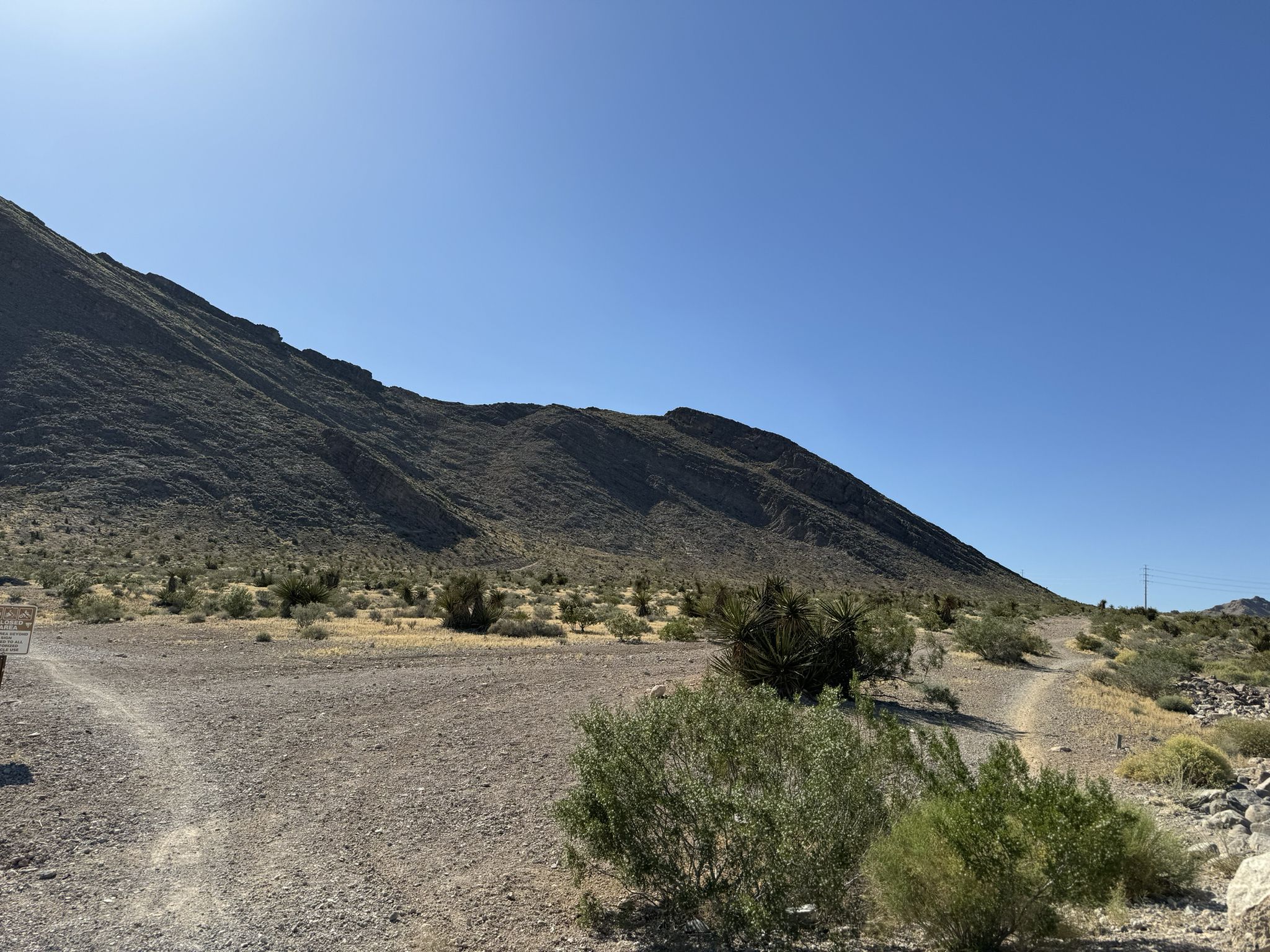 Sunny desert landscape with a large mountain, gravel path, and sparse shrubs. - Hunter Mountain, Torque, and the Burbs Loop