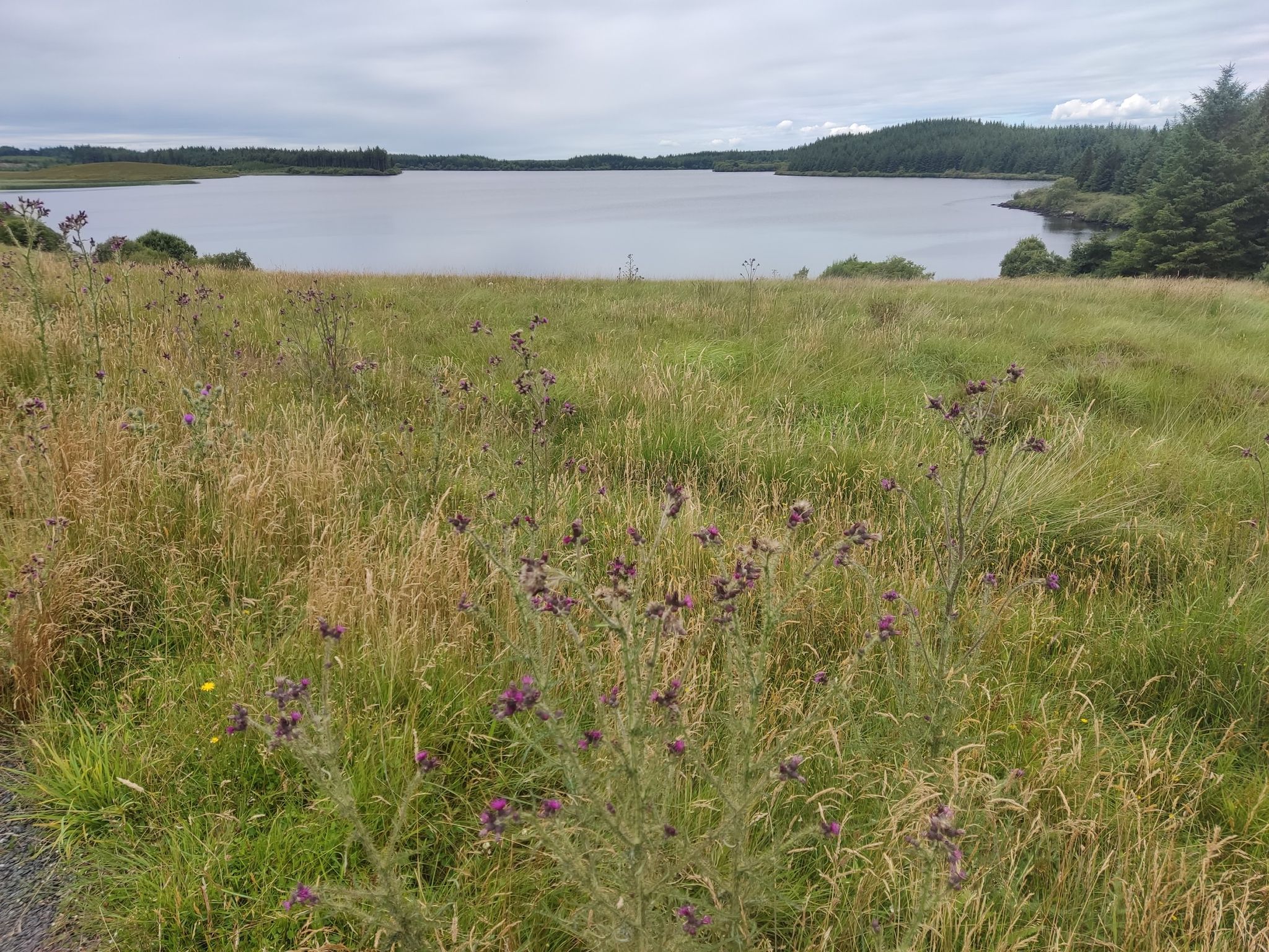 Lough Atorick