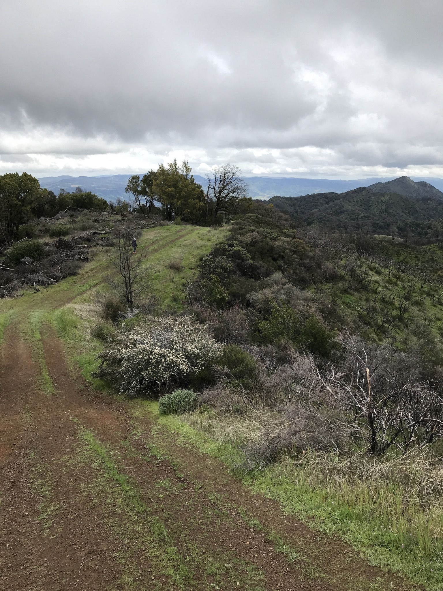 Dirt road on a green ridge overlooking distant hills under a cloudy sky. - Bald Mountain Loop